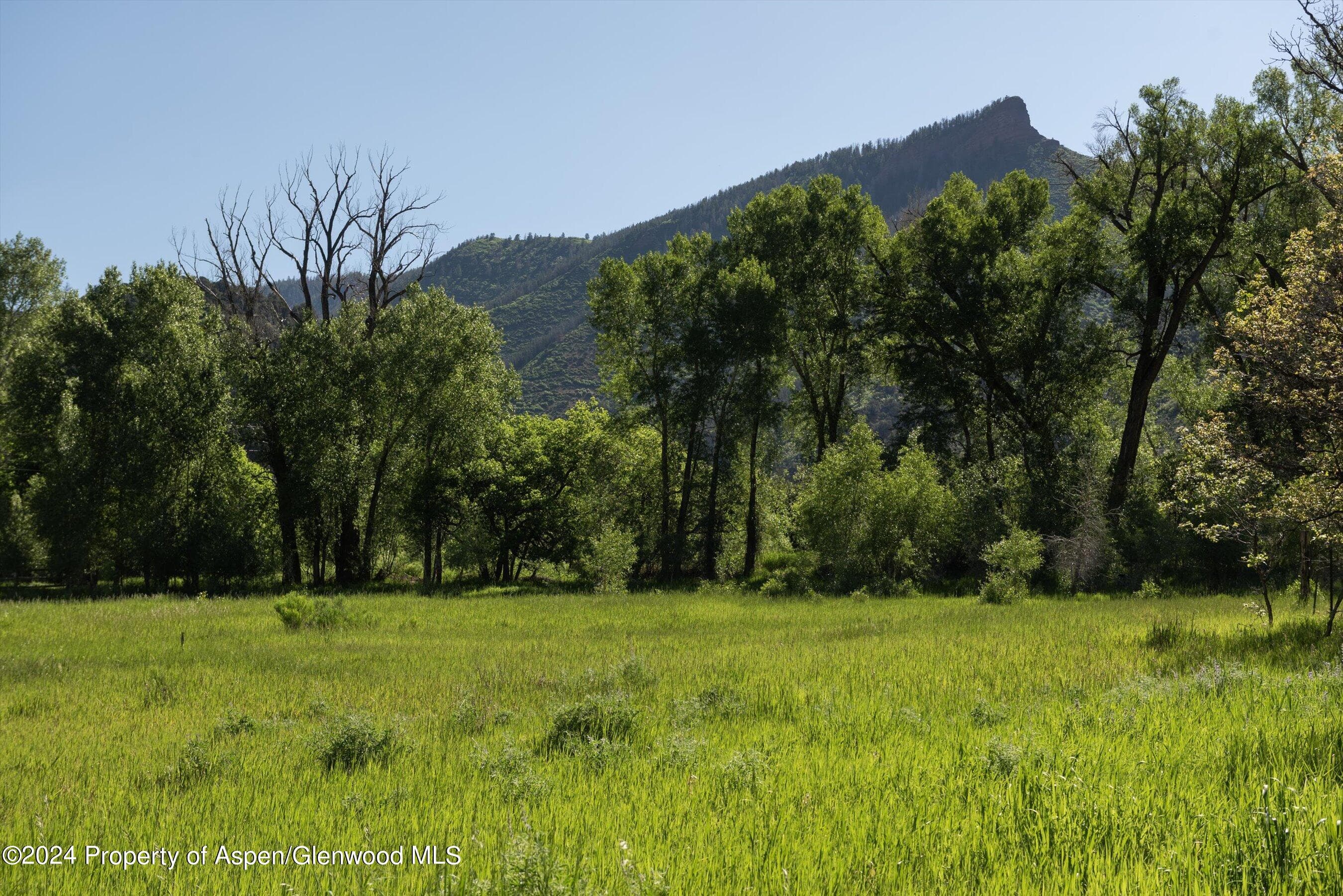 TBD Lower River Road Lot 3, Snowmass, CO 81654 - Photo 5