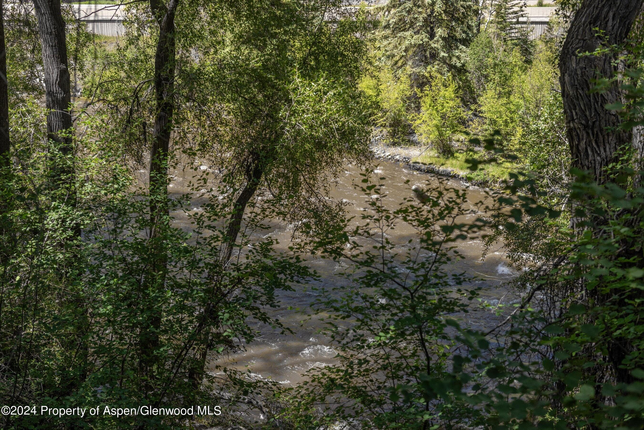 TBD Lower River Road Lot 3, Snowmass, CO 81654 - Photo 30