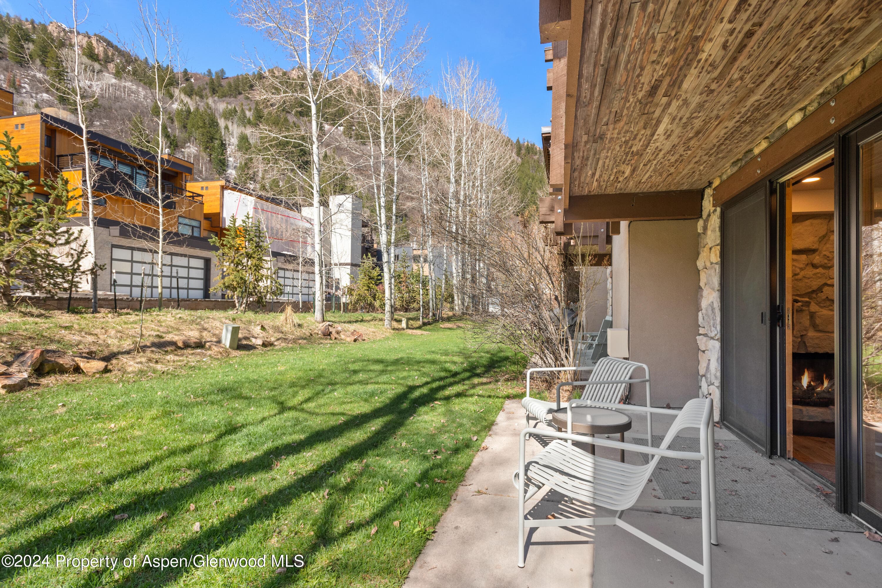 131 E Durant Avenue 208, Aspen, CO 81611 - Photo 12