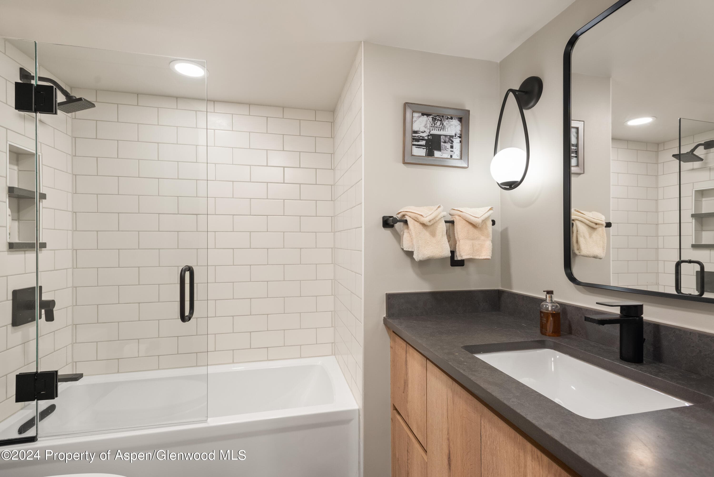 131 E Durant Avenue 208, Aspen, CO 81611 - Photo 11