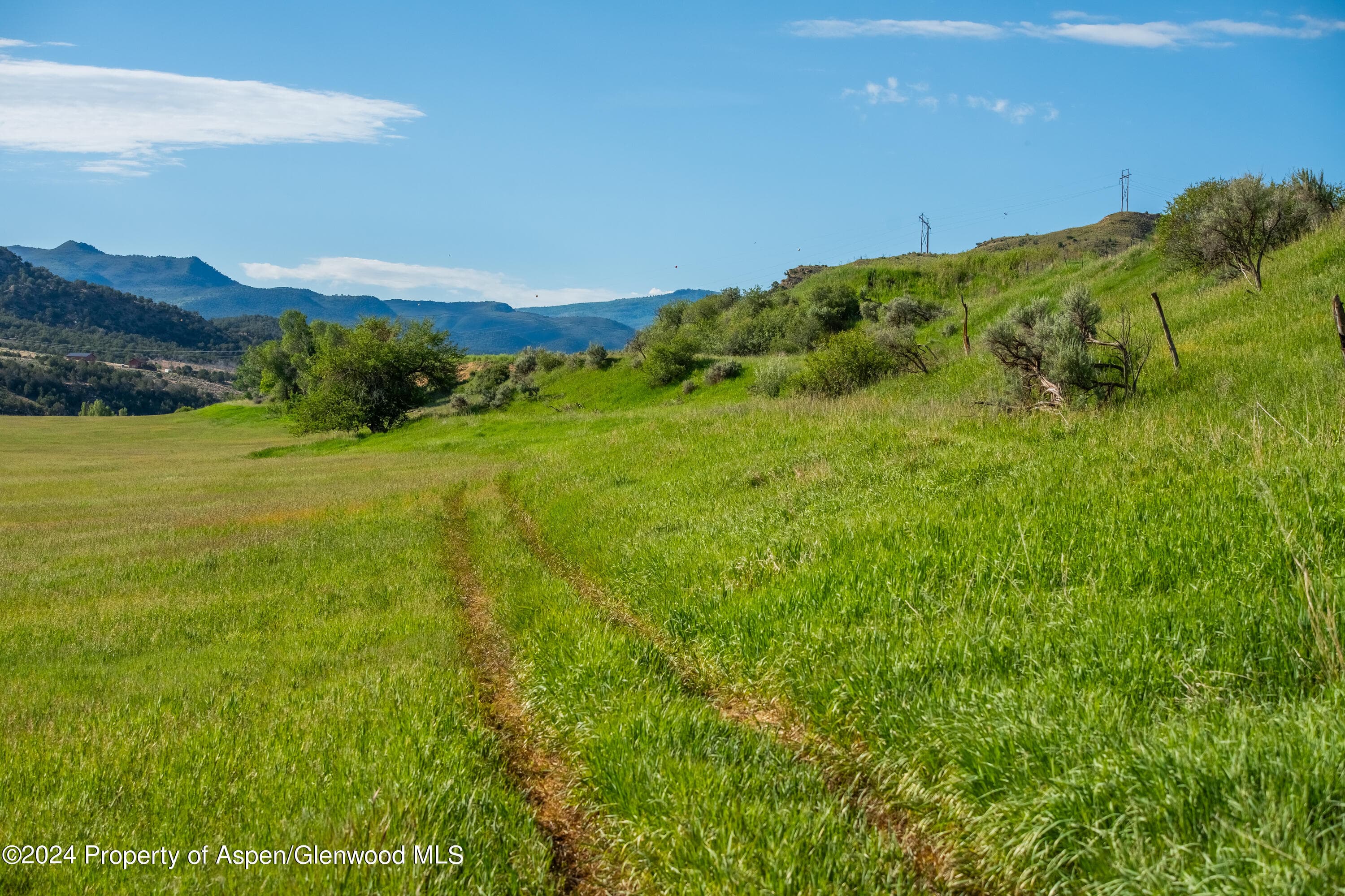584 COUNTY ROAD 331, Silt, CO 81652 - Photo 10