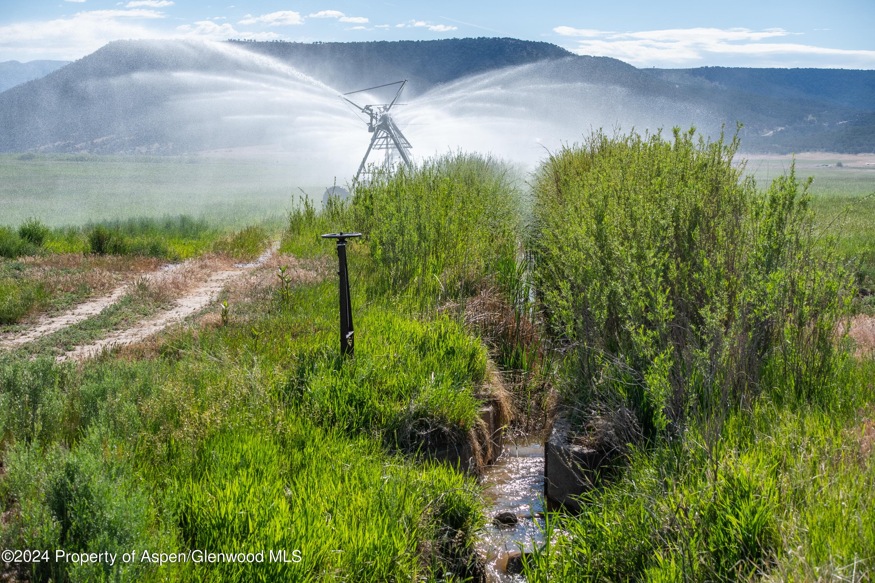 584 COUNTY ROAD 331, Silt, CO 81652 - Photo 2