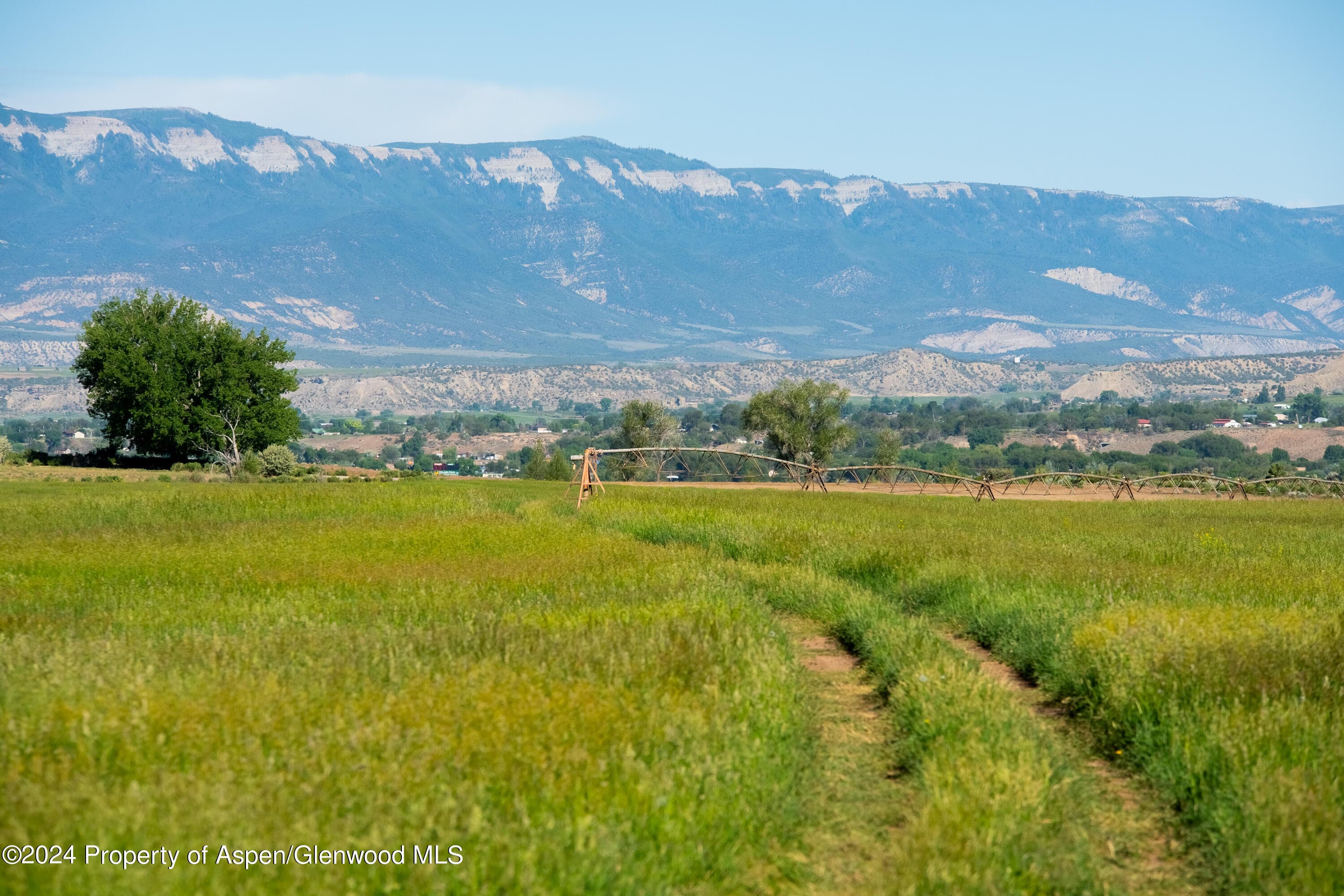 584 COUNTY ROAD 331, Silt, CO 81652 - Photo 5