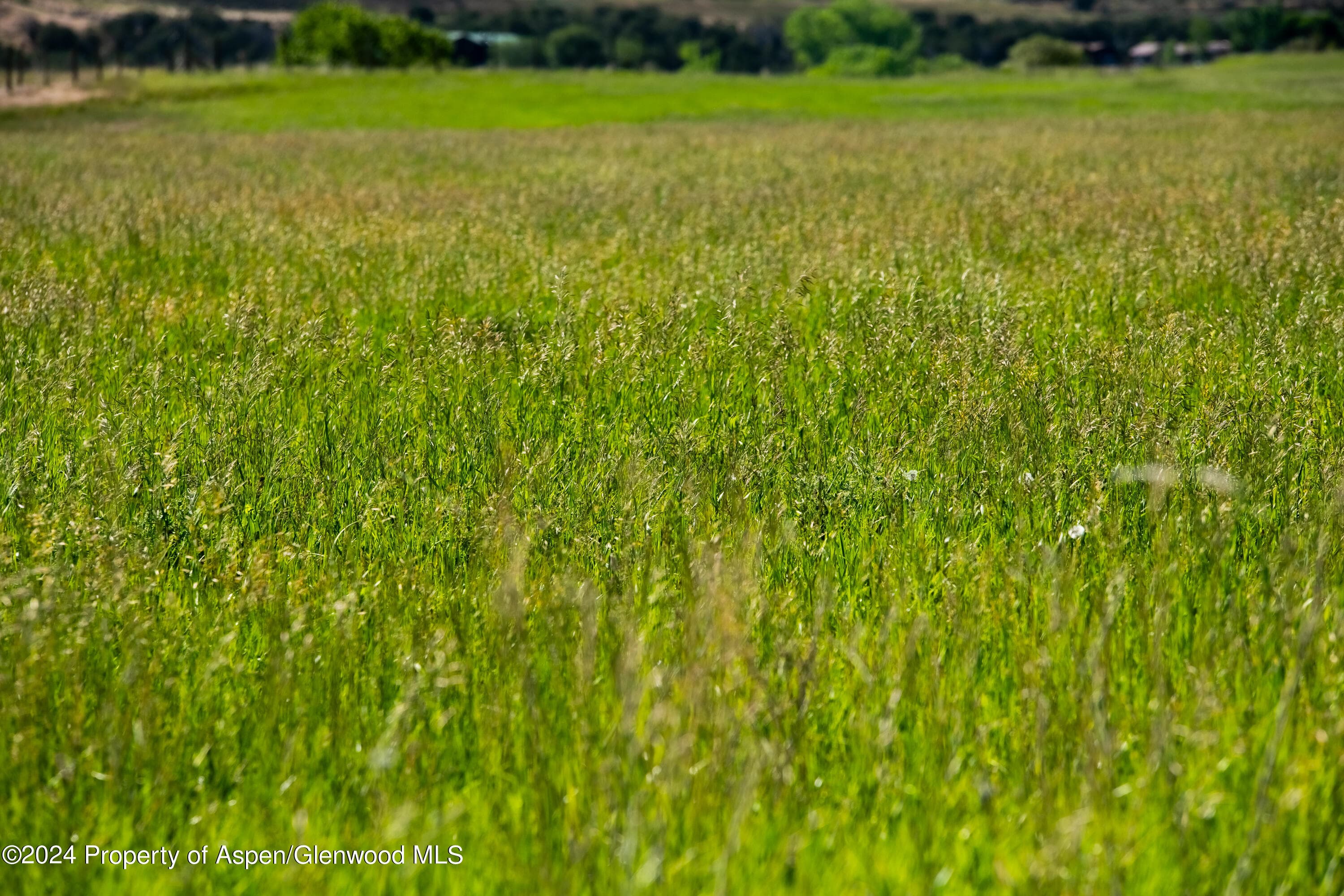 584 COUNTY ROAD 331, Silt, CO 81652 - Photo 24