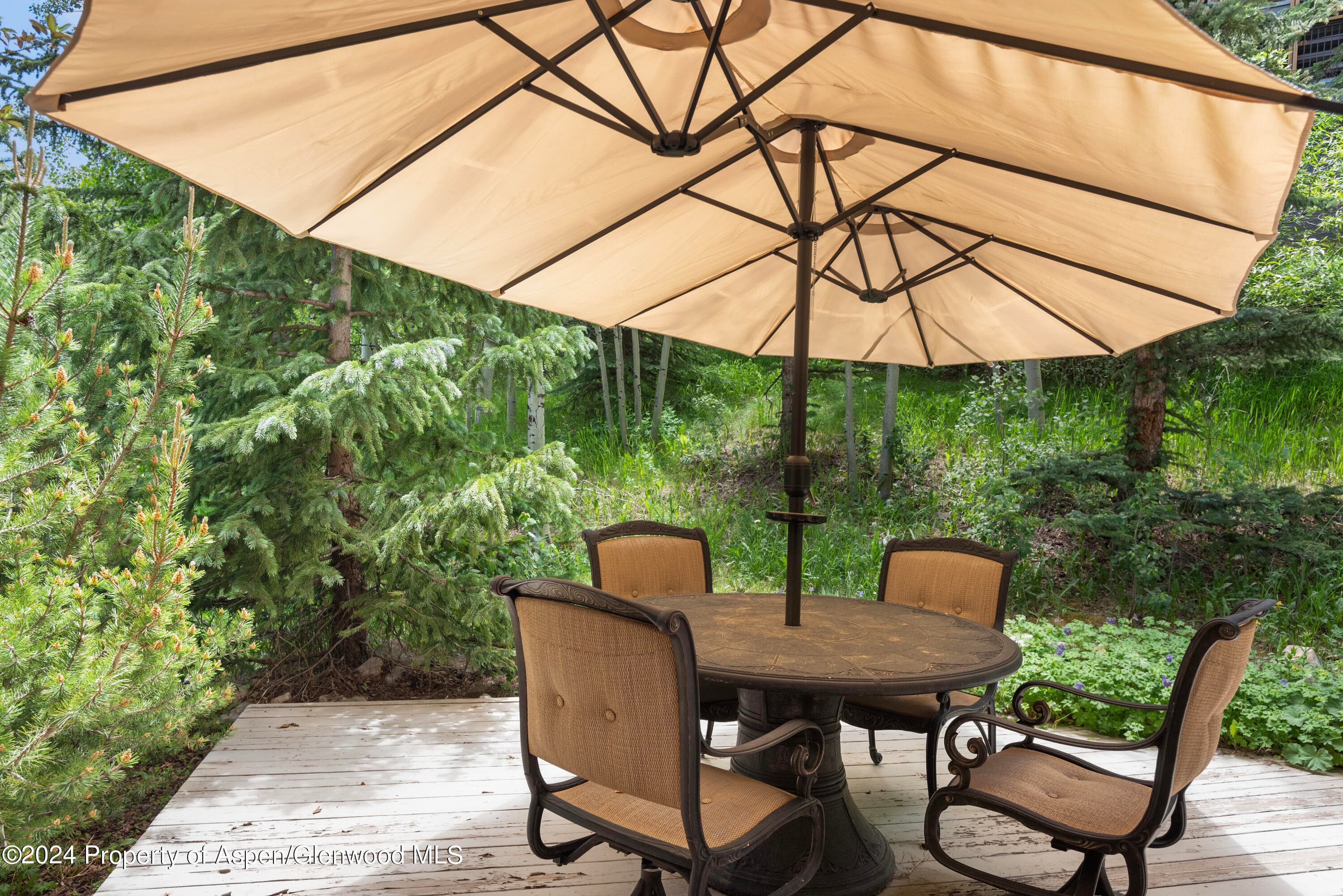 476 WOOD Road 30, Snowmass Village, CO 81615 - Photo 9