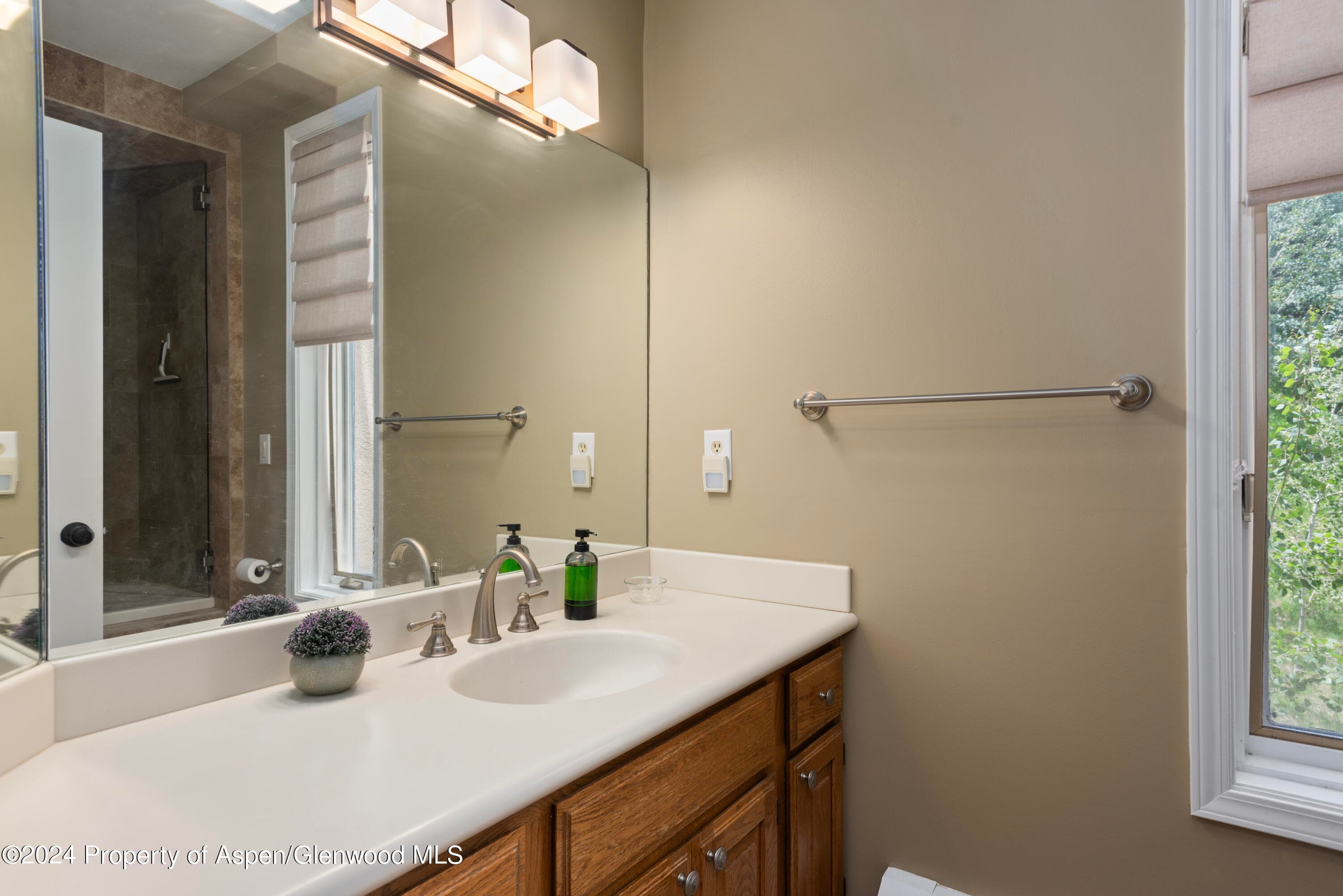 476 WOOD Road 30, Snowmass Village, CO 81615 - Photo 15