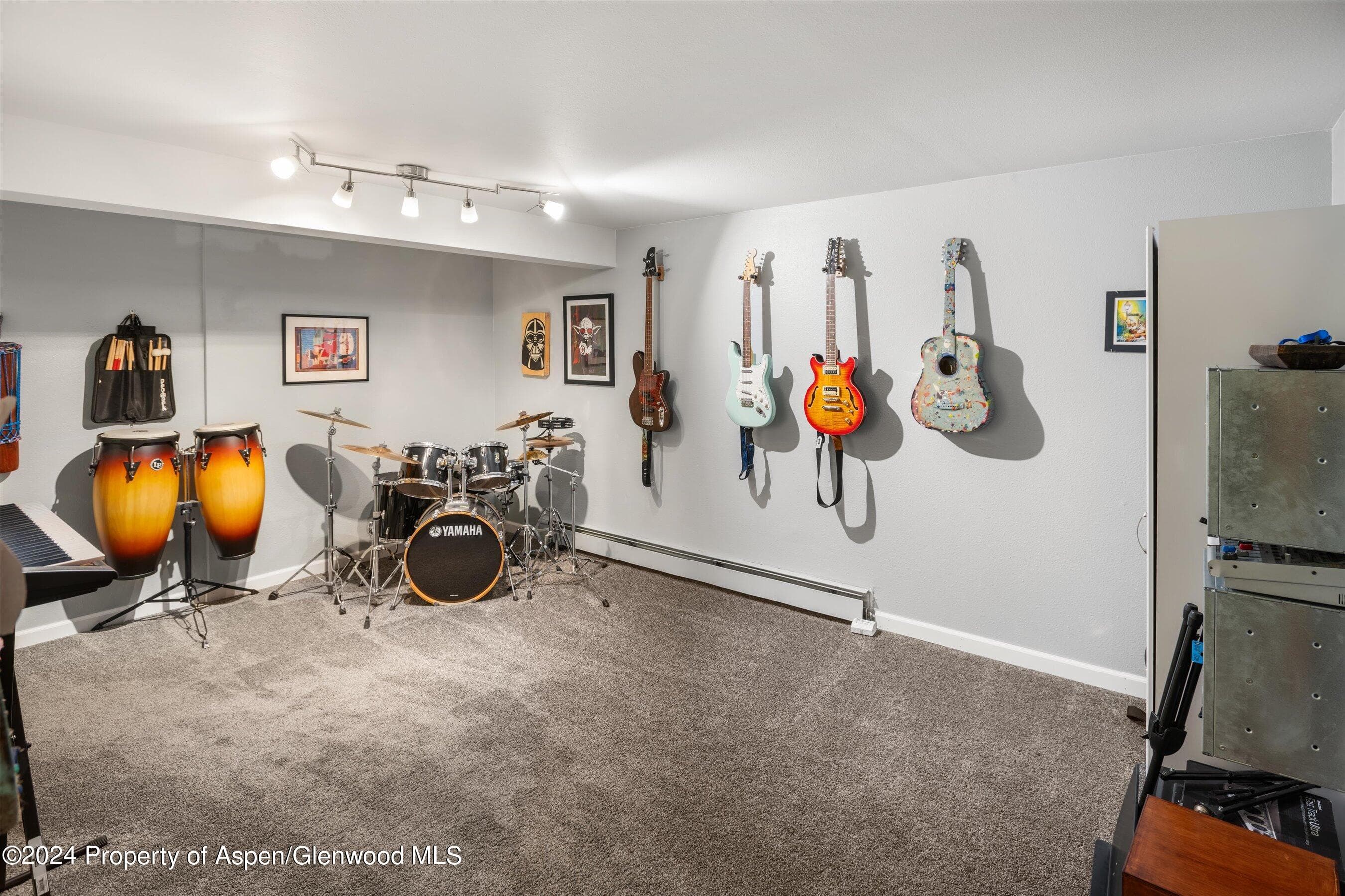 690 S 2nd Street, Carbondale, CO 81623 - Photo 13