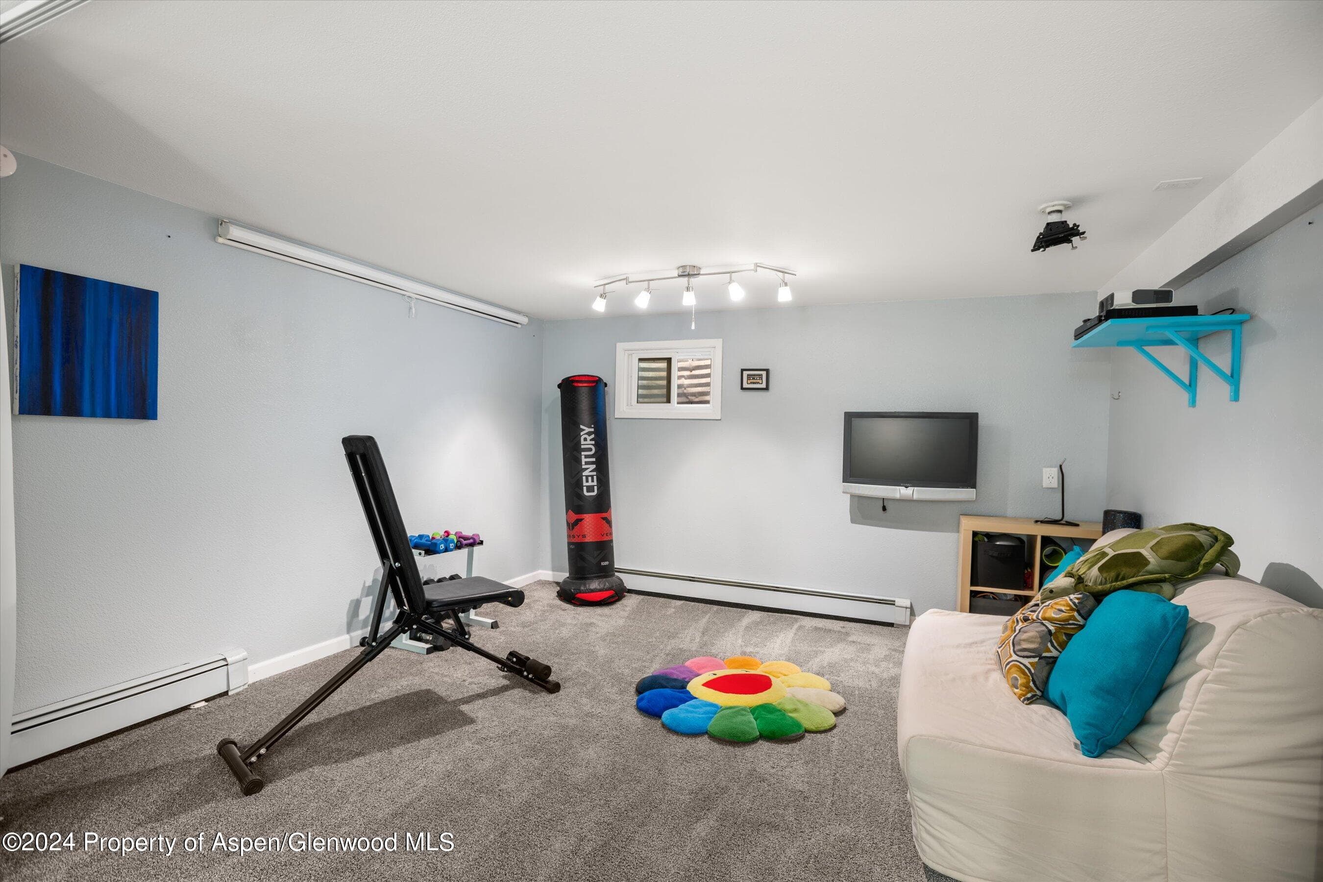 690 S 2nd Street, Carbondale, CO 81623 - Photo 16