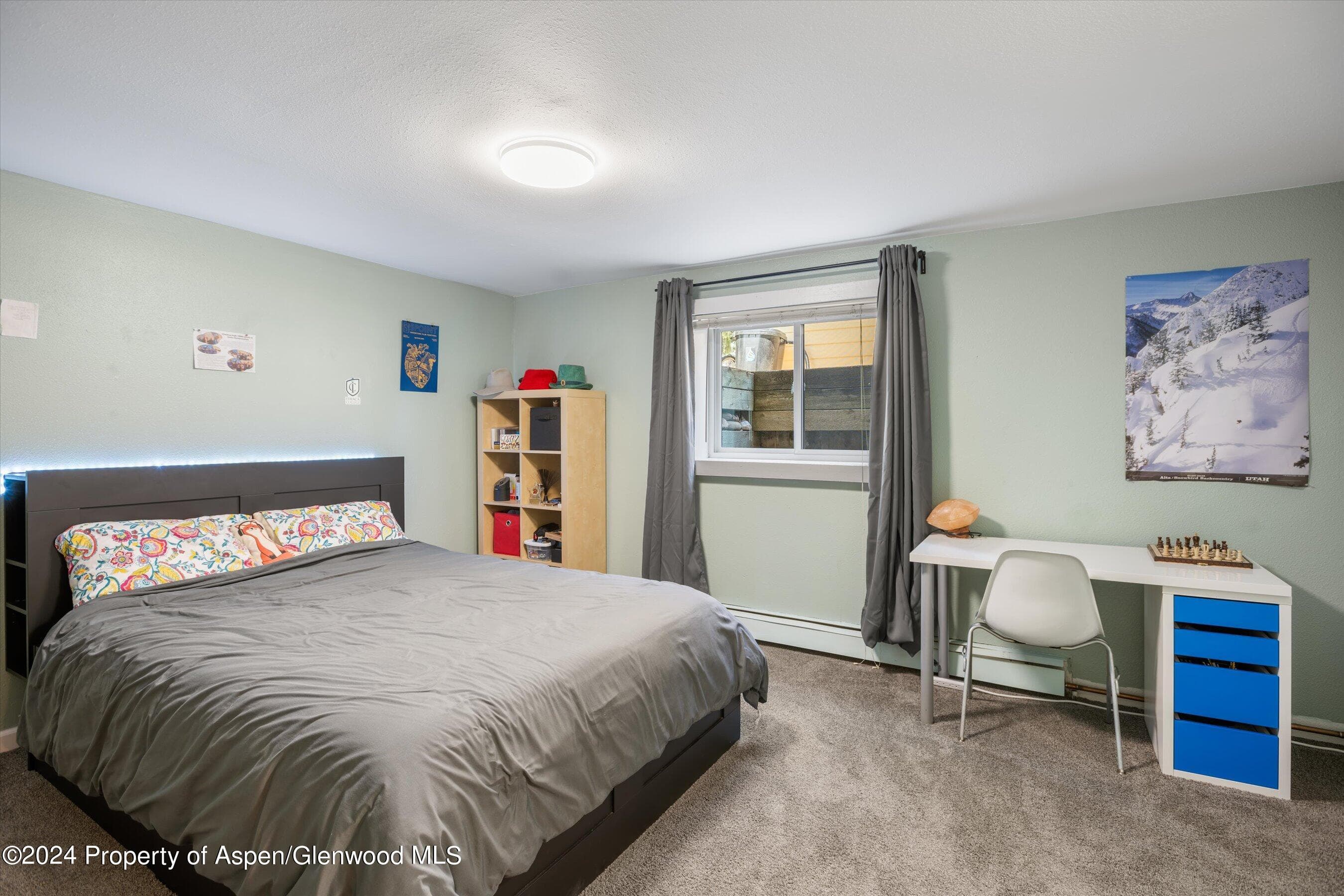 690 S 2nd Street, Carbondale, CO 81623 - Photo 14