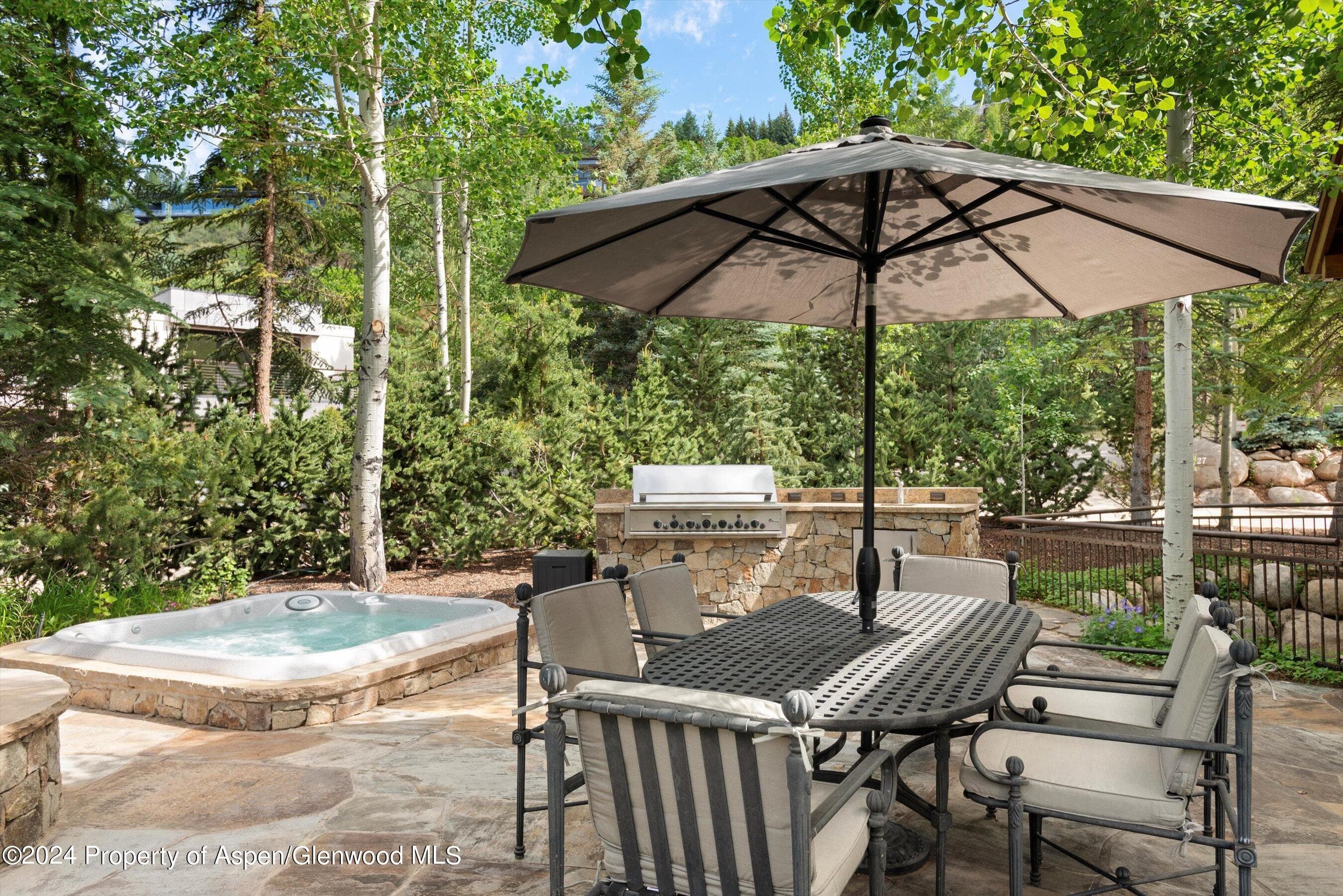 27 Nighthawk Drive, Aspen, CO 81611 - Photo 9