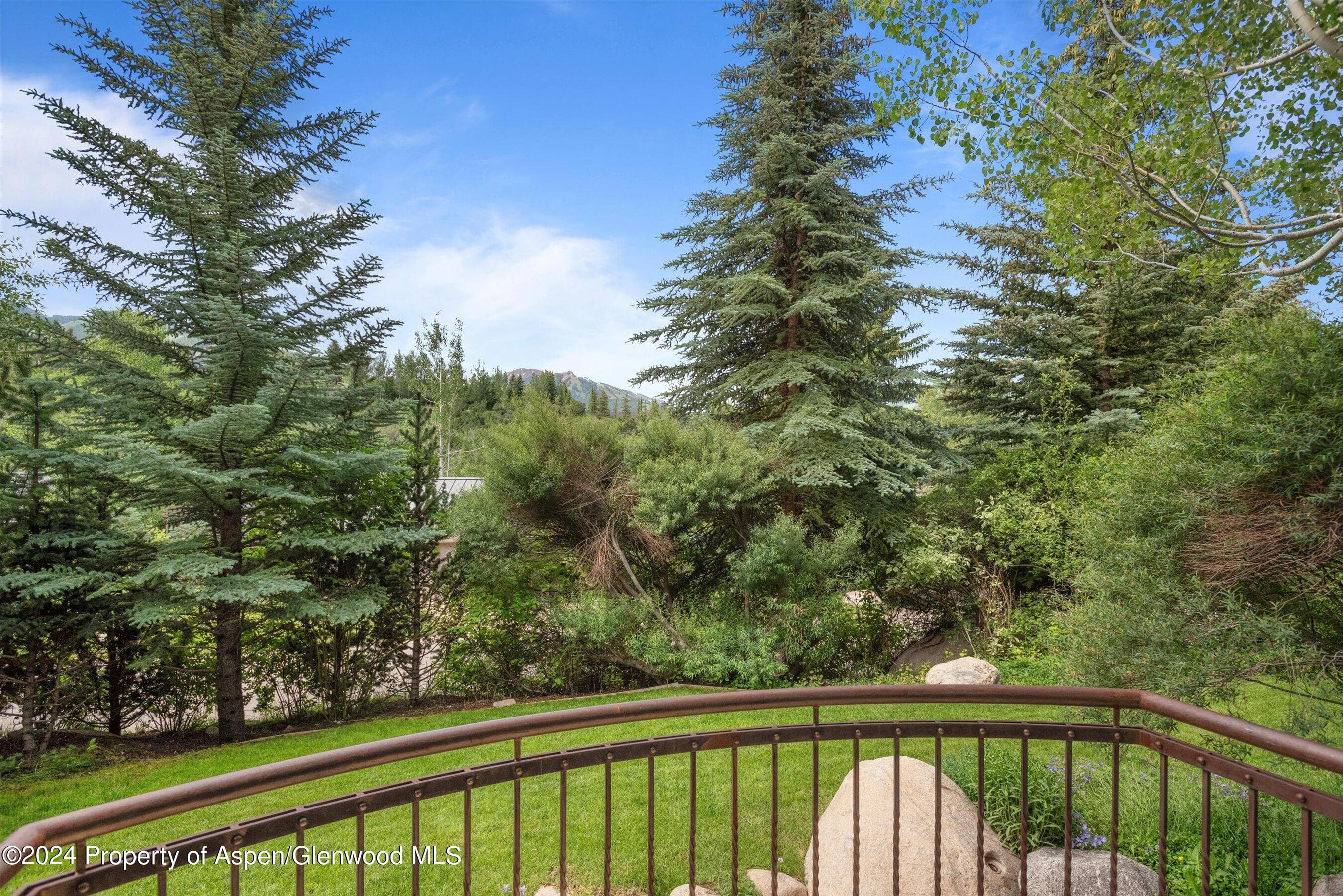 27 Nighthawk Drive, Aspen, CO 81611 - Photo 57