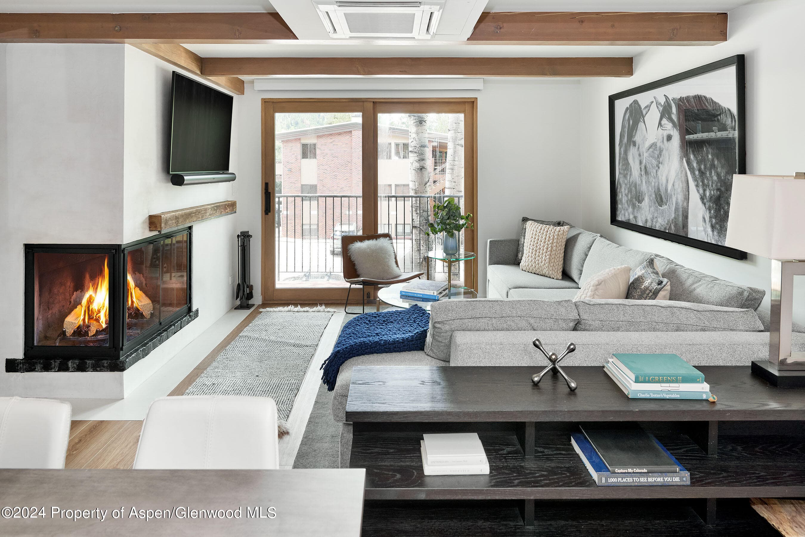 901 E Hyman Avenue 5, Aspen, CO 81611
