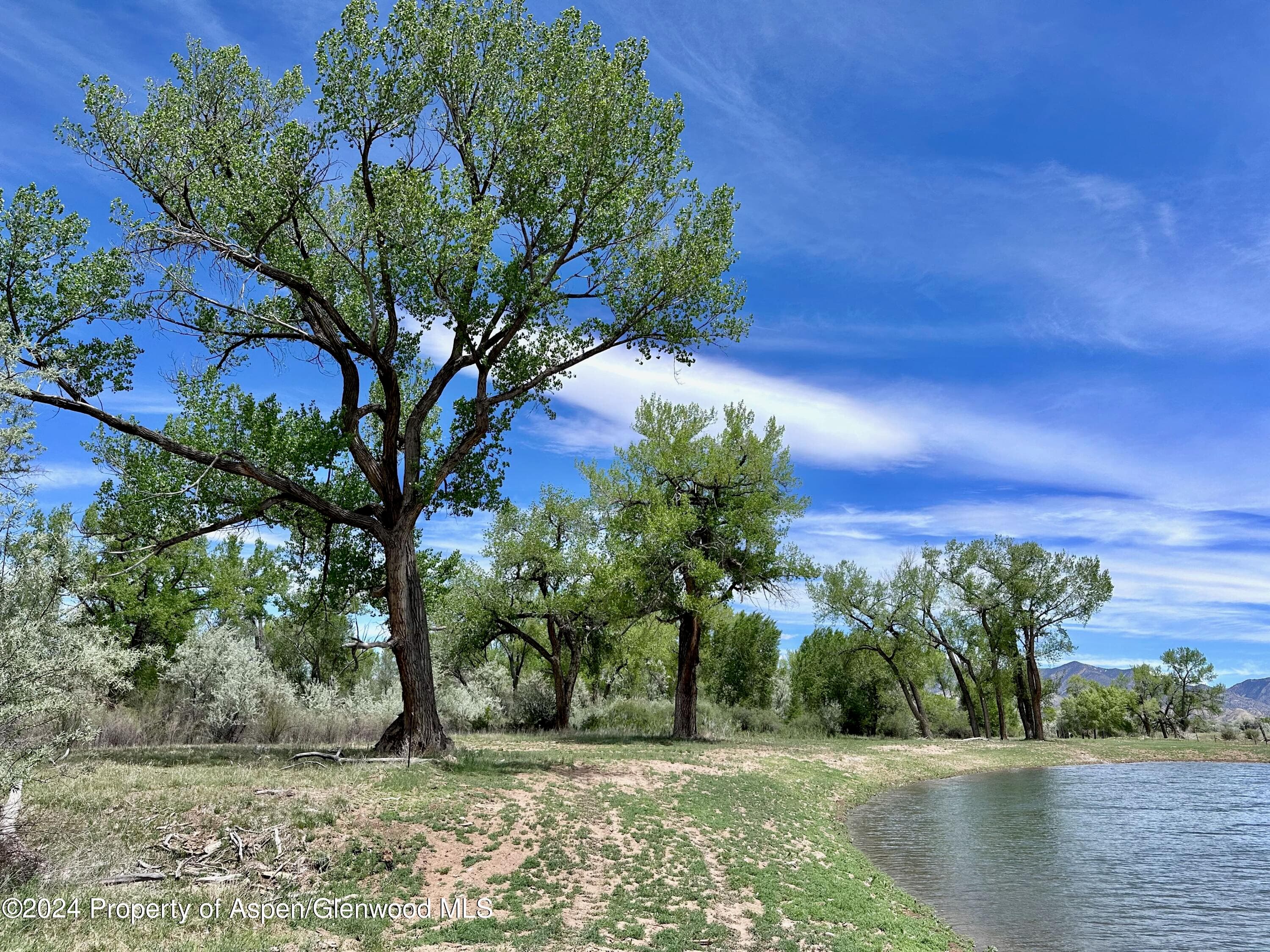 1797 N County Road 346, Rifle, CO 81650 - Photo 13