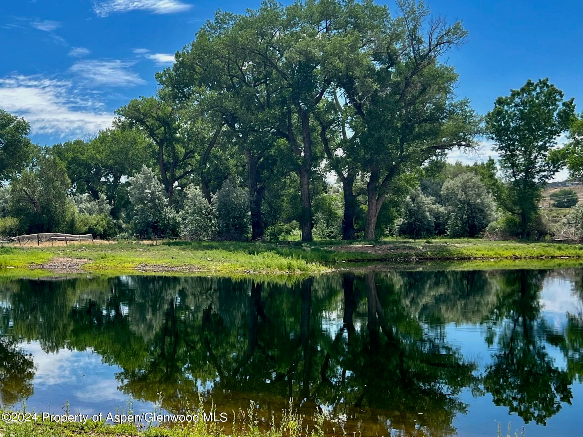1797 N County Road 346, Rifle, CO 81650 - Photo 21