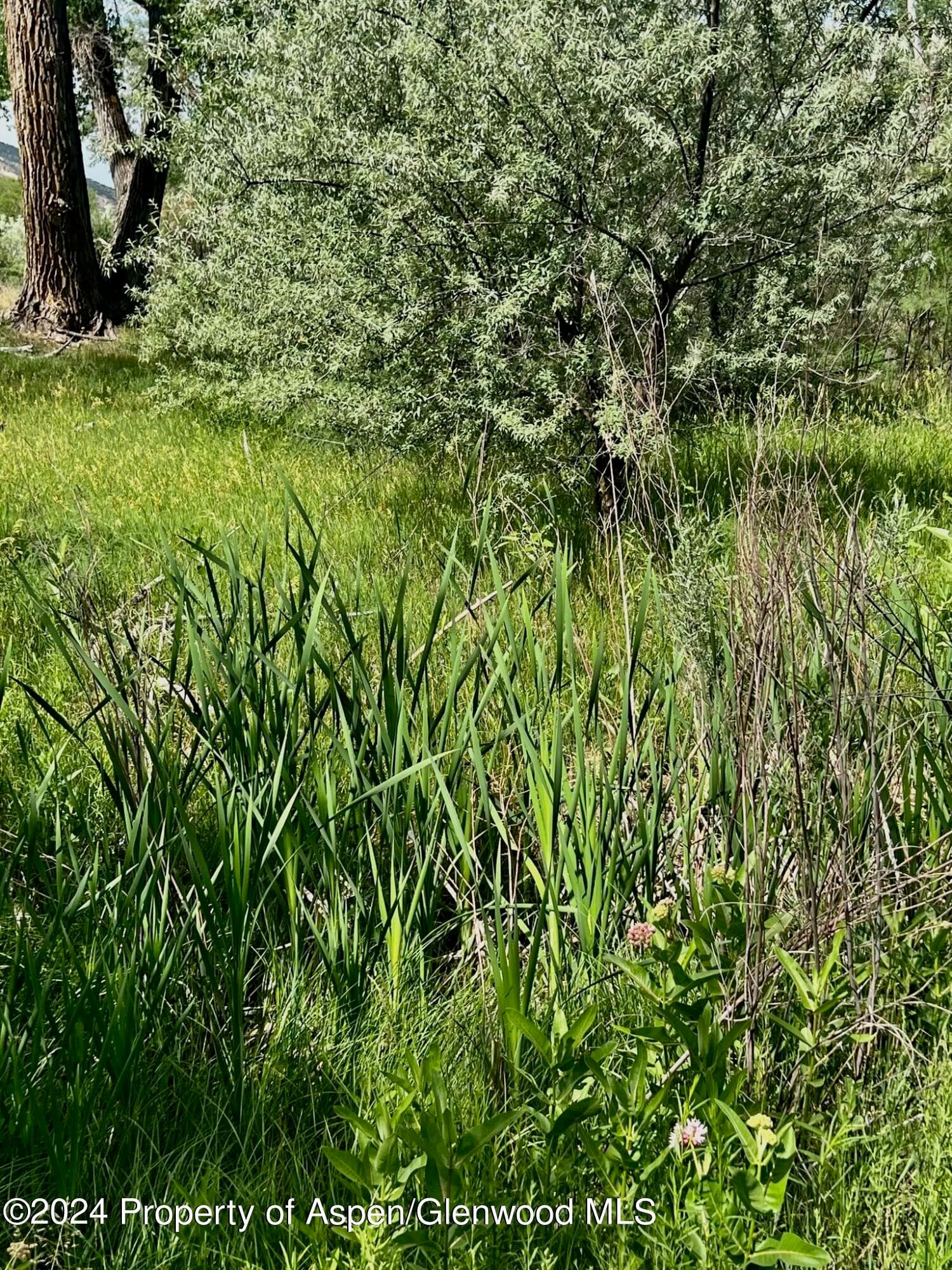 1797 N County Road 346, Rifle, CO 81650 - Photo 24