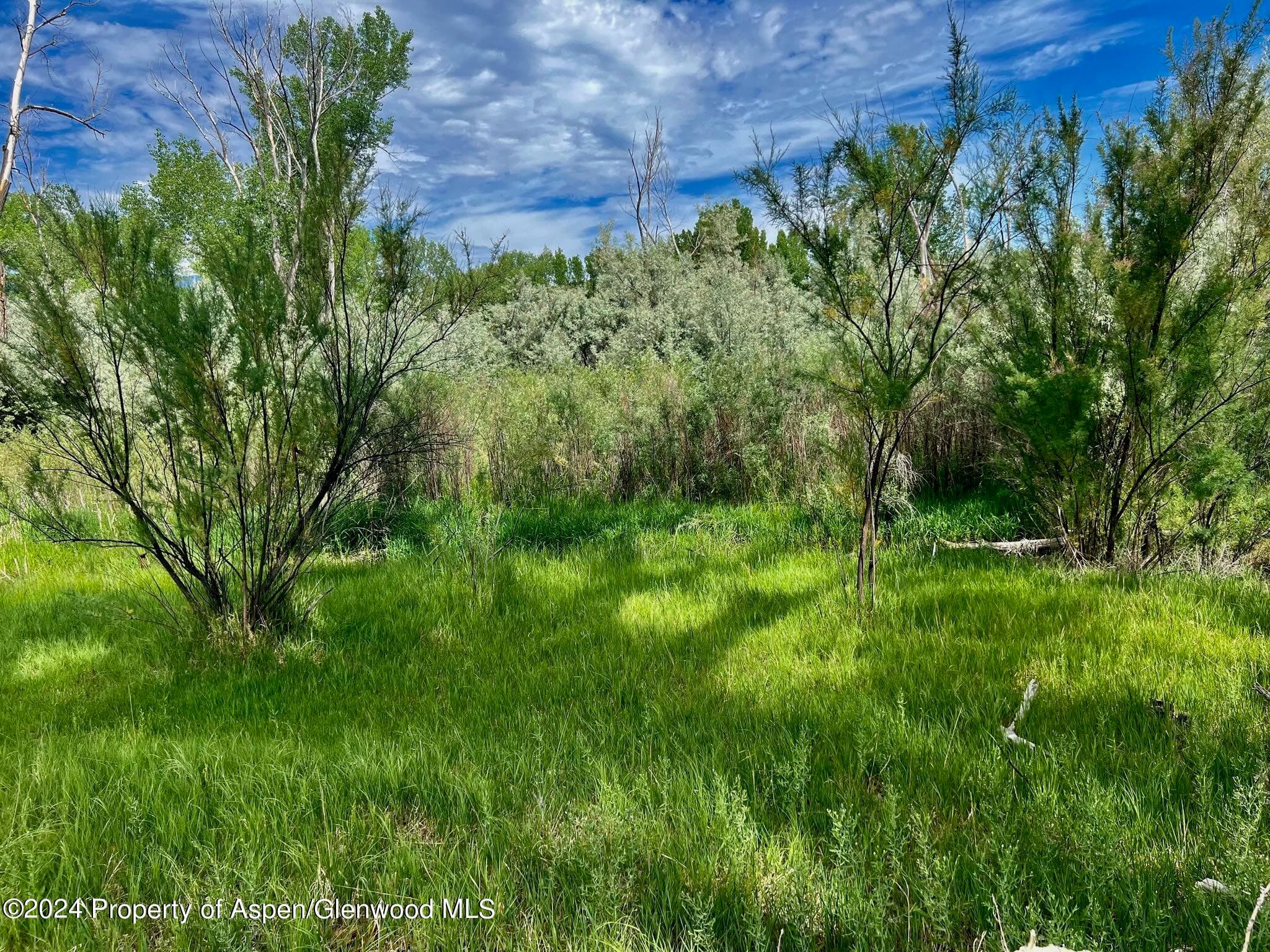 1797 N County Road 346, Rifle, CO 81650 - Photo 26