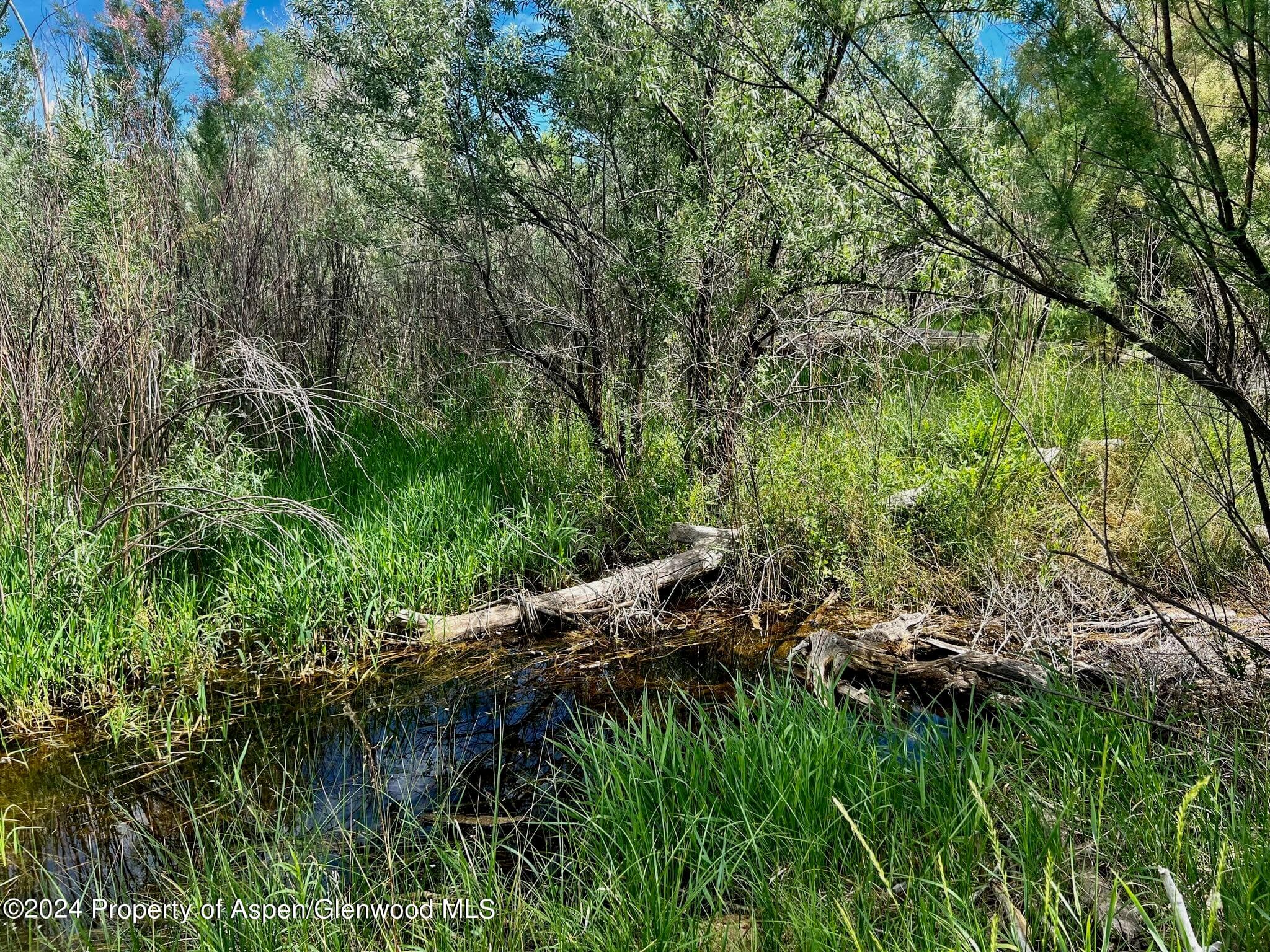 1797 N County Road 346, Rifle, CO 81650 - Photo 27