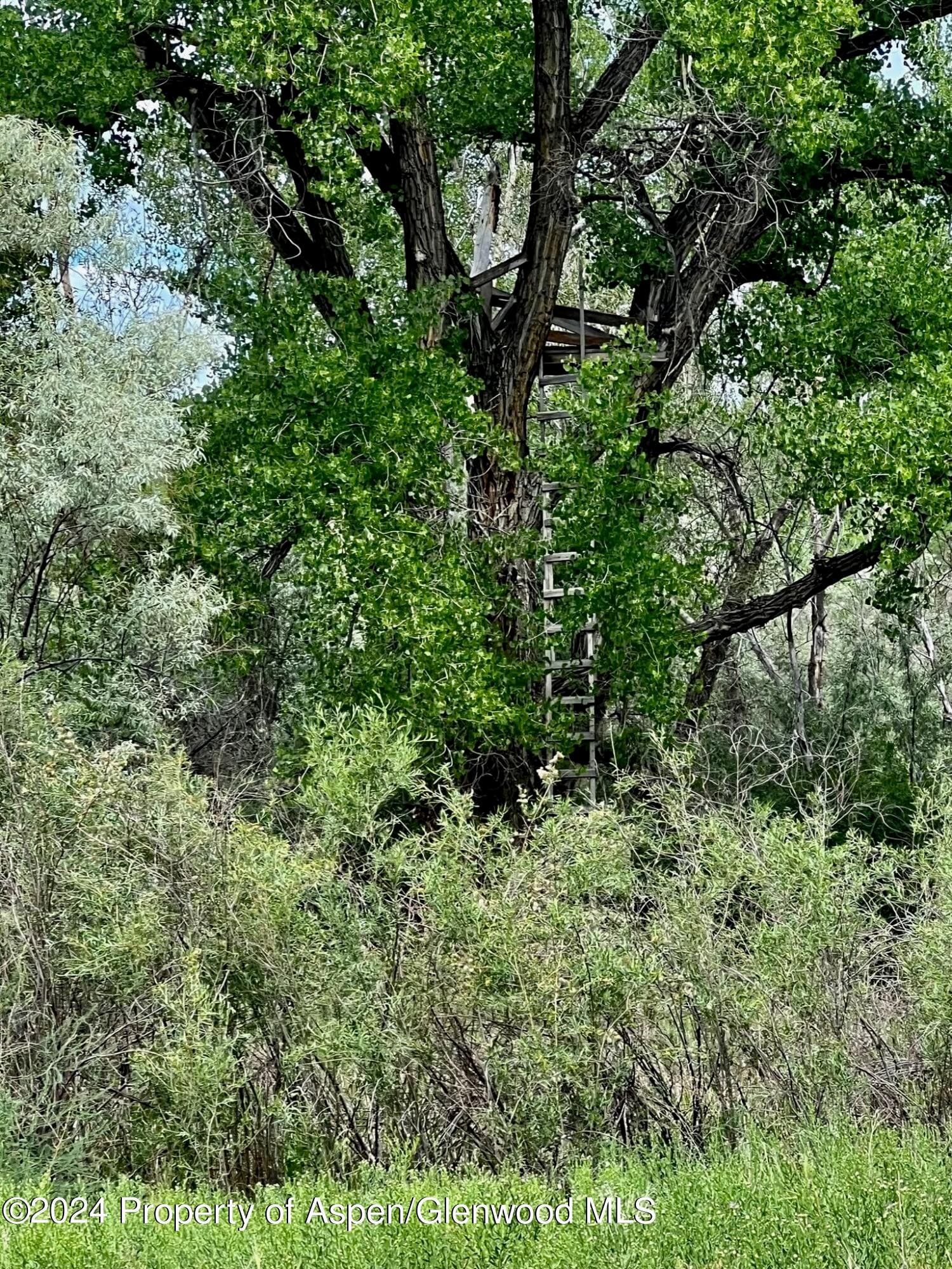 1797 N County Road 346, Rifle, CO 81650 - Photo 31