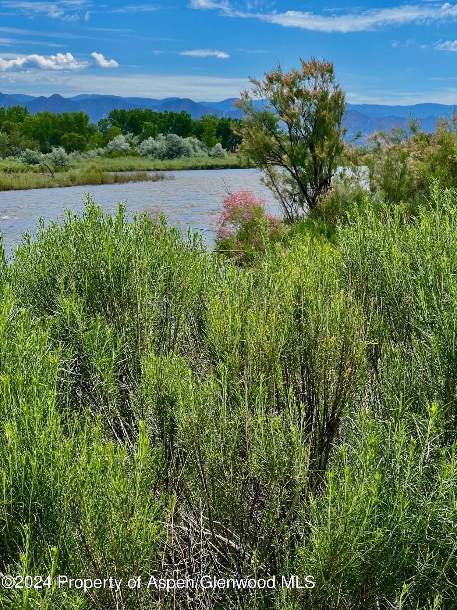 1797 N County Road 346, Rifle, CO 81650 - Photo 33