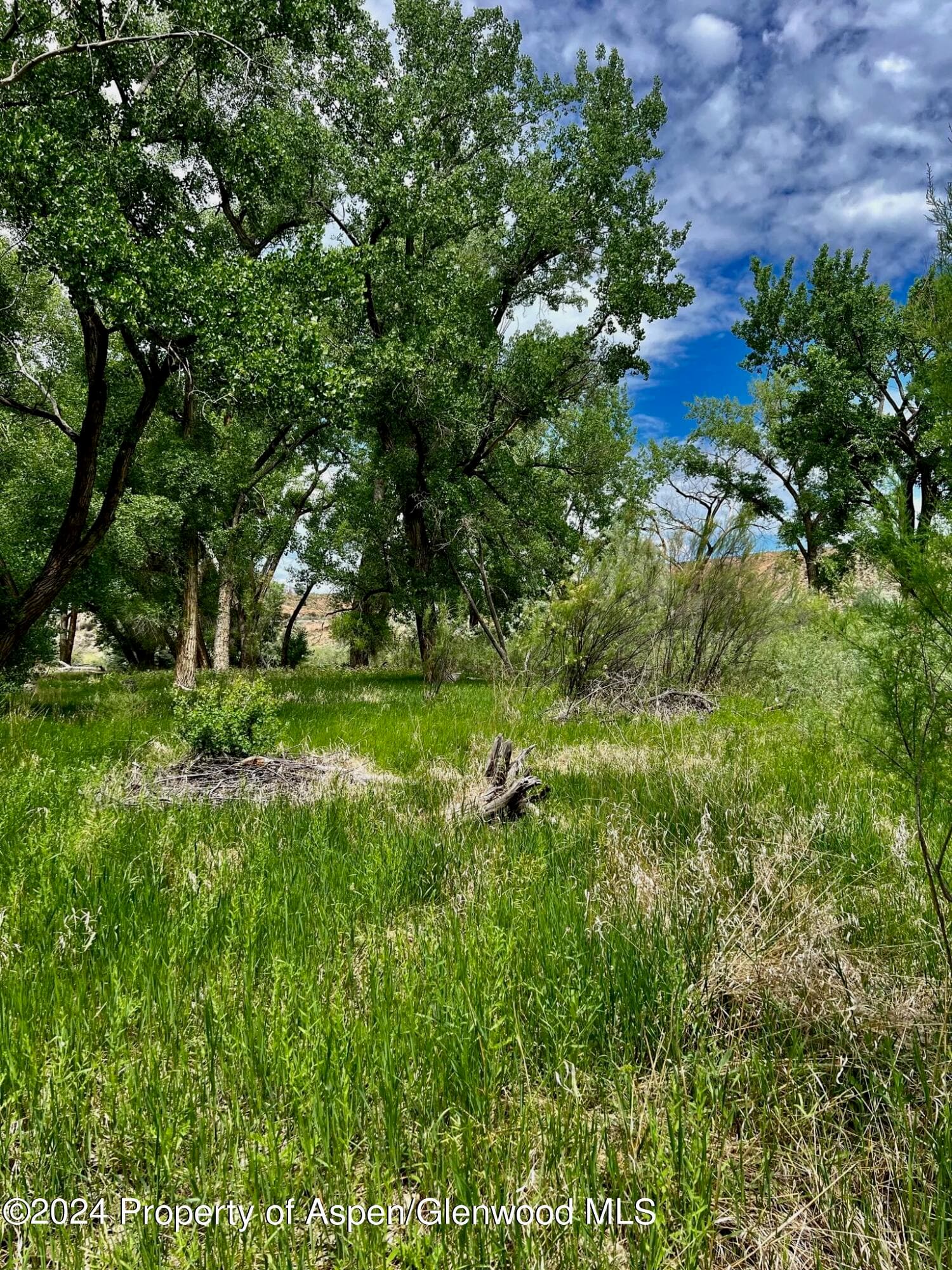 1797 N County Road 346, Rifle, CO 81650 - Photo 36