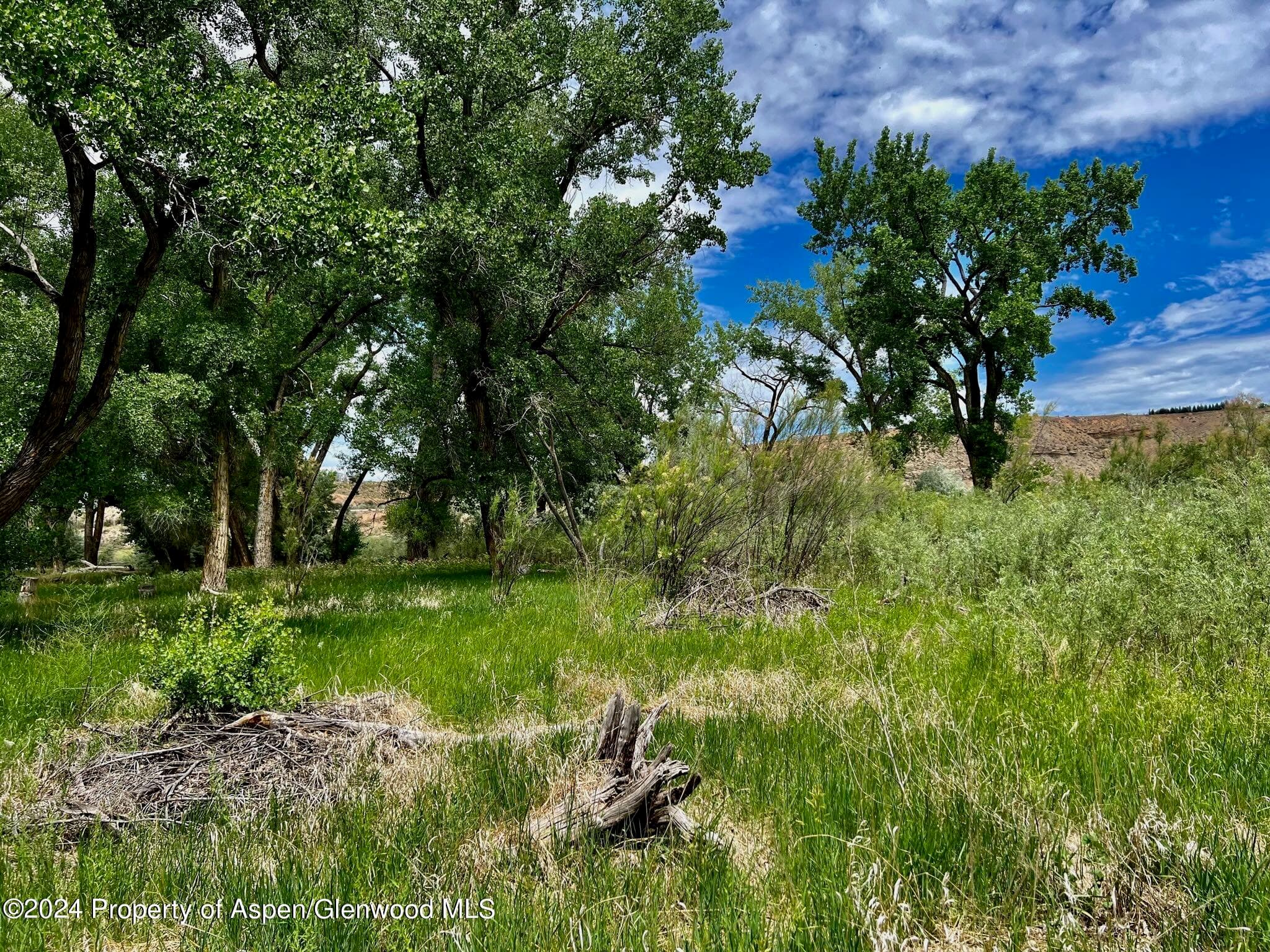1797 N County Road 346, Rifle, CO 81650 - Photo 37