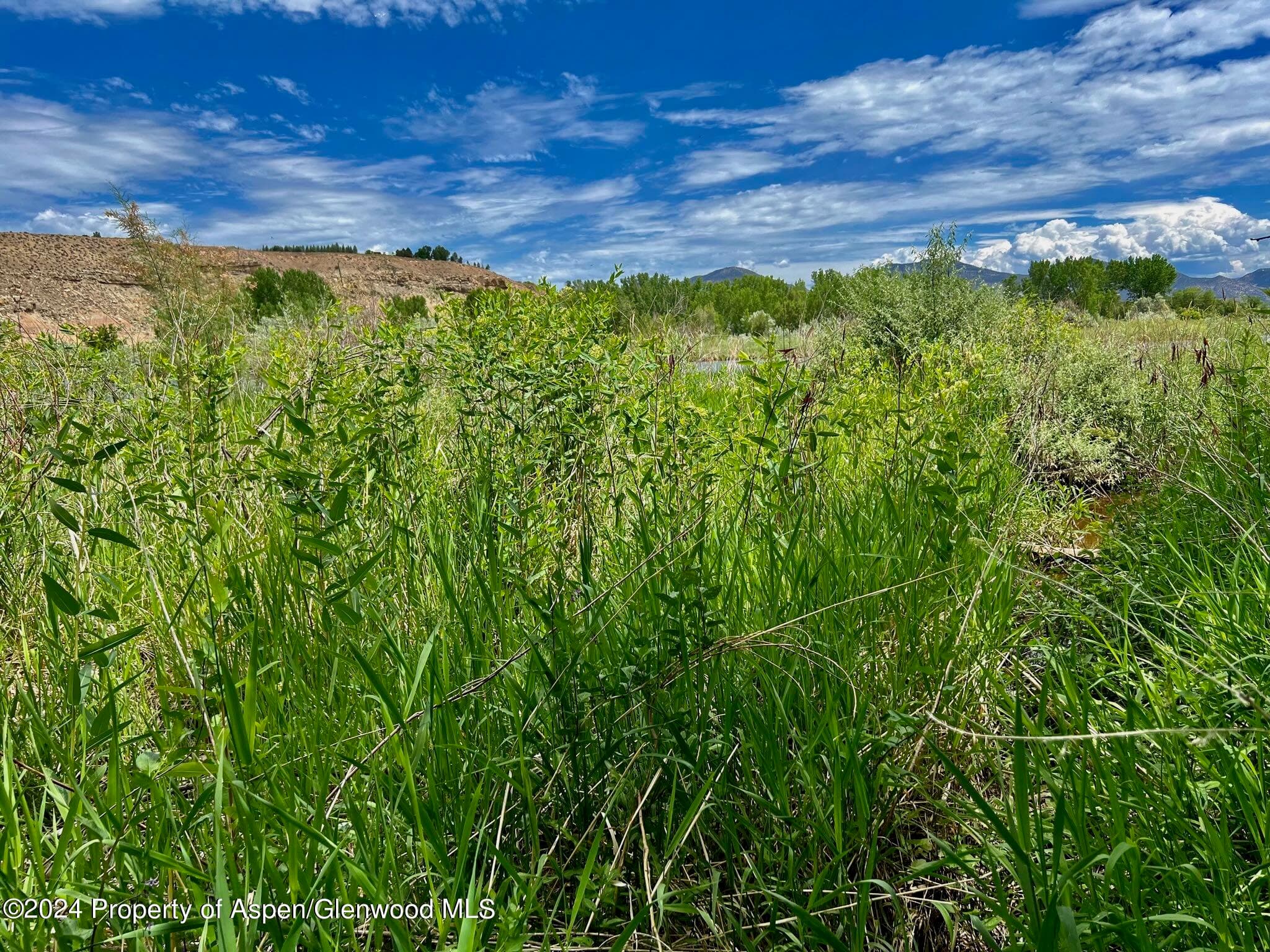 1797 N County Road 346, Rifle, CO 81650 - Photo 38
