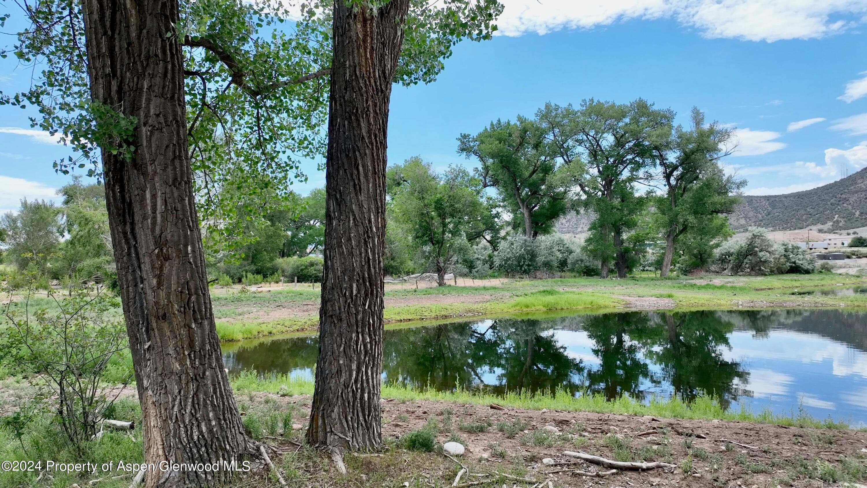1797 N County Road 346, Rifle, CO 81650 - Photo 40