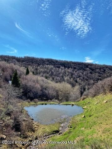 32771 COUNTY ROAD 27, Hayden, CO 81639 - Photo 4