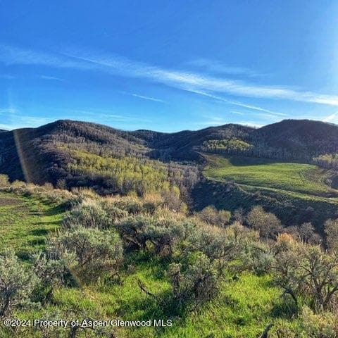 32771 COUNTY ROAD 27, Hayden, CO 81639 - Photo 11