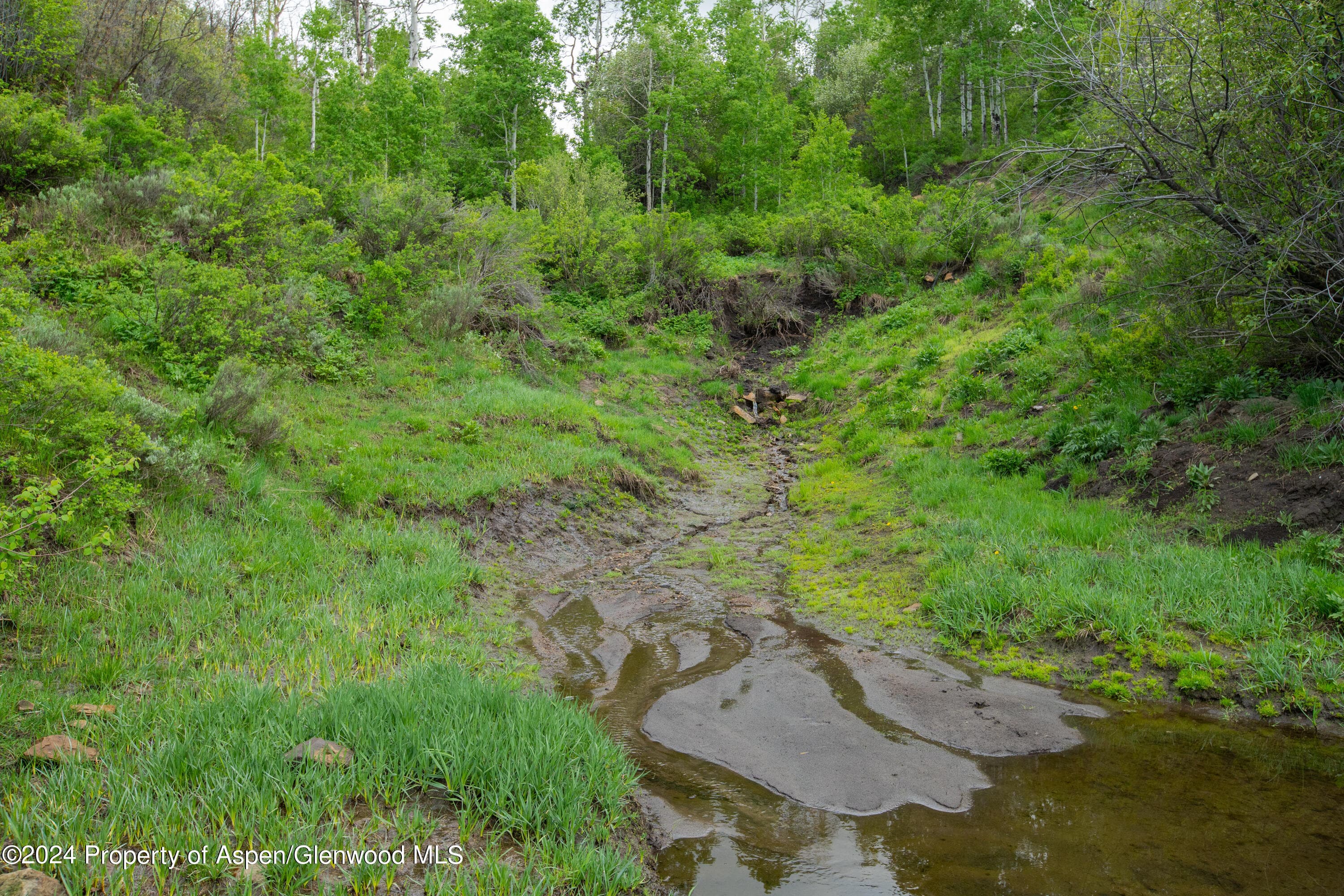 32771 COUNTY ROAD 27, Hayden, CO 81639 - Photo 14