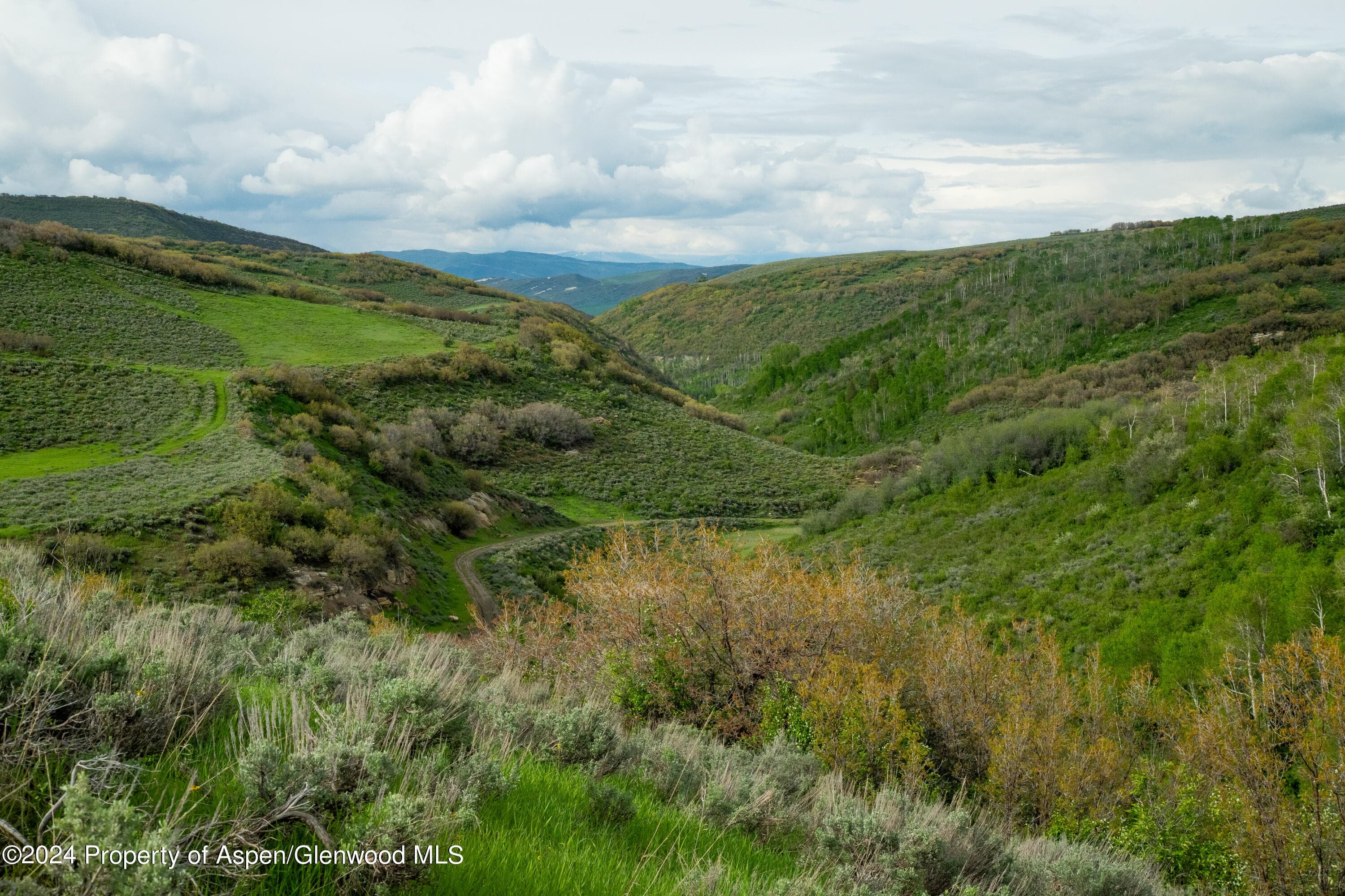 32771 COUNTY ROAD 27, Hayden, CO 81639 - Photo 15