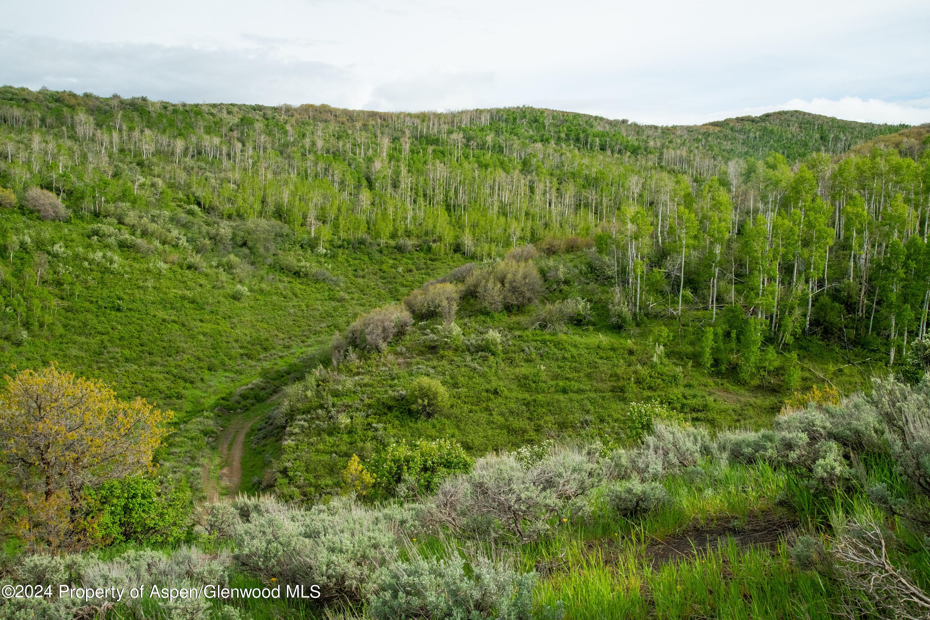 32771 COUNTY ROAD 27, Hayden, CO 81639 - Photo 16