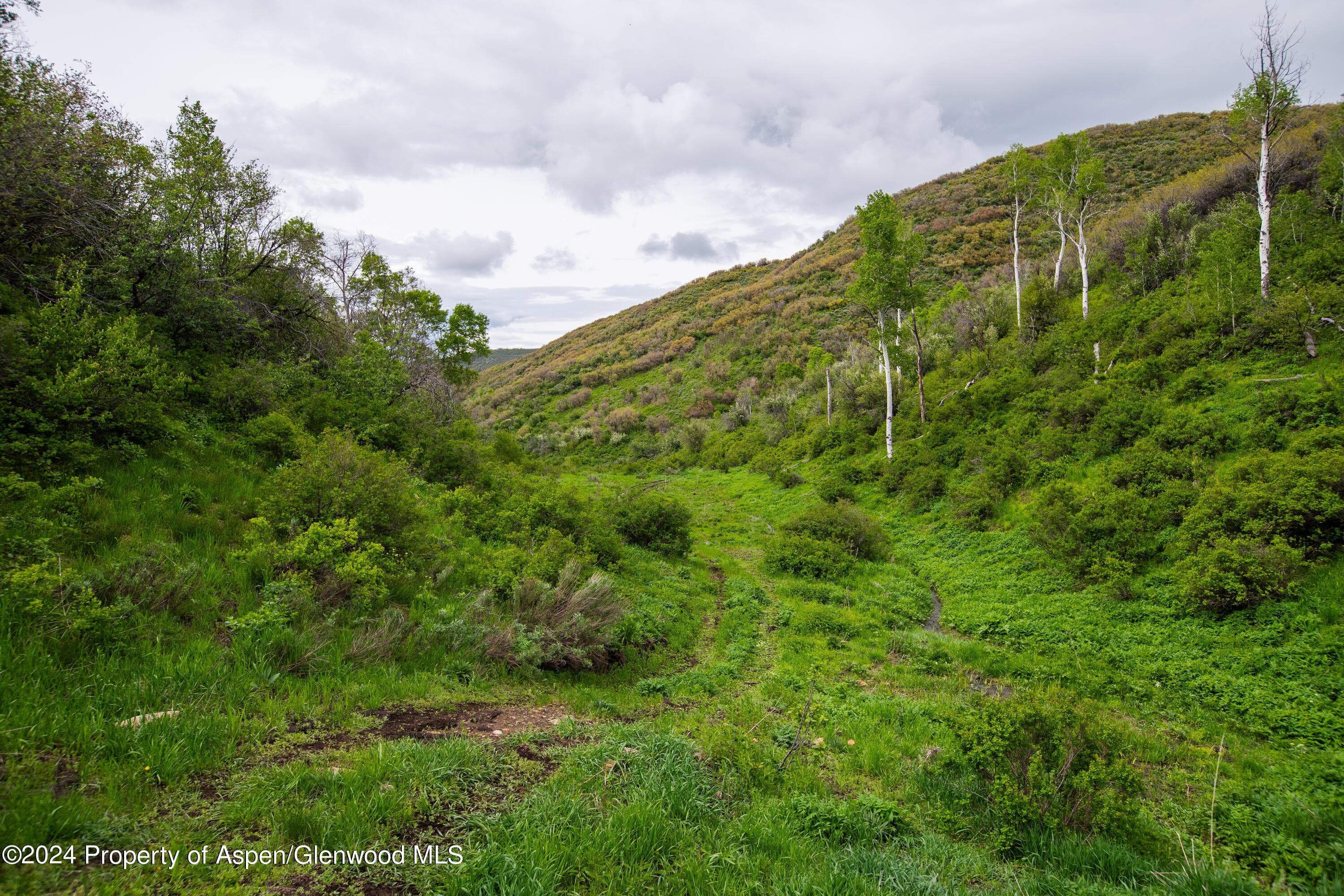 32771 COUNTY ROAD 27, Hayden, CO 81639 - Photo 21