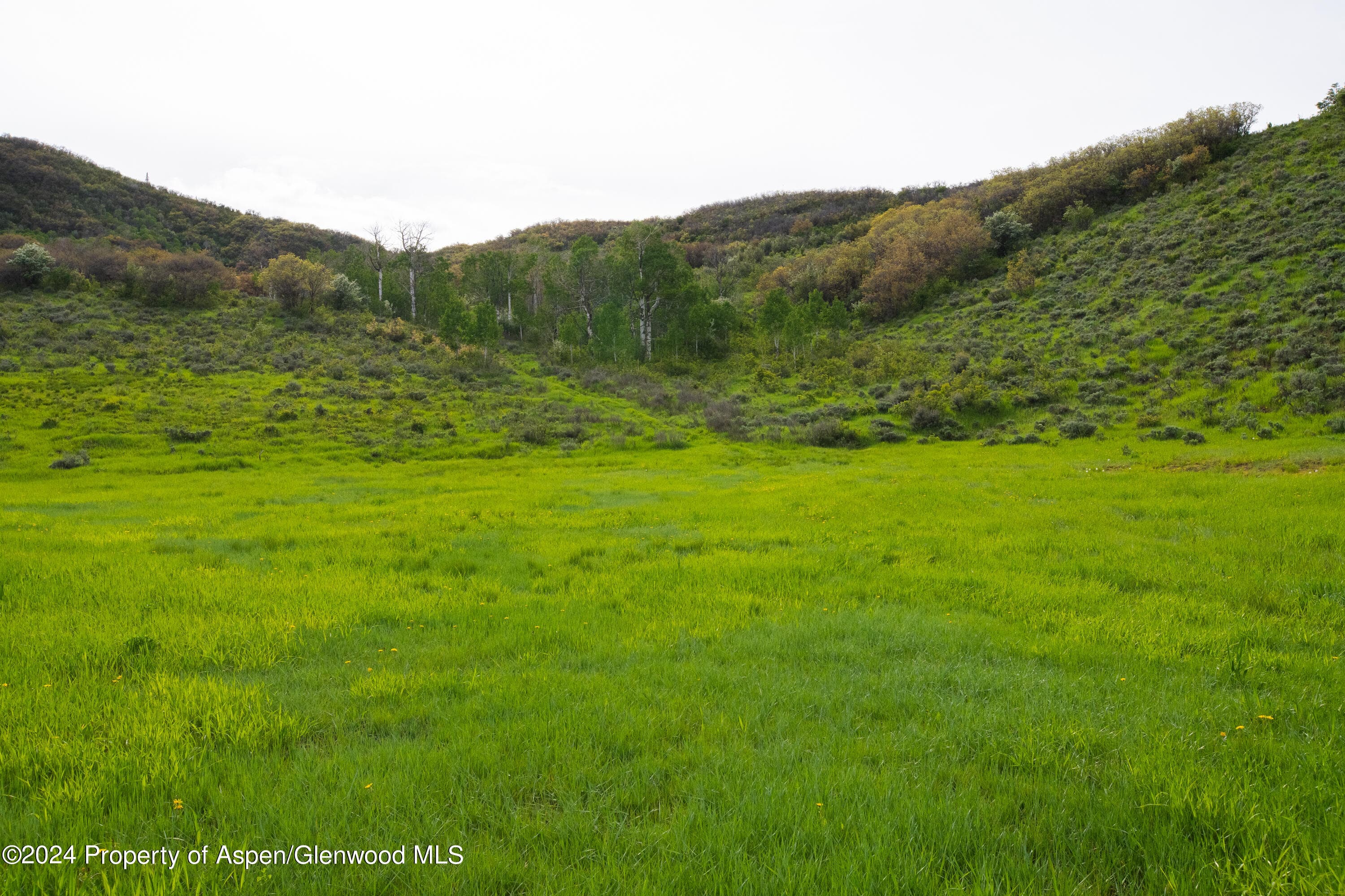 32771 COUNTY ROAD 27, Hayden, CO 81639 - Photo 22