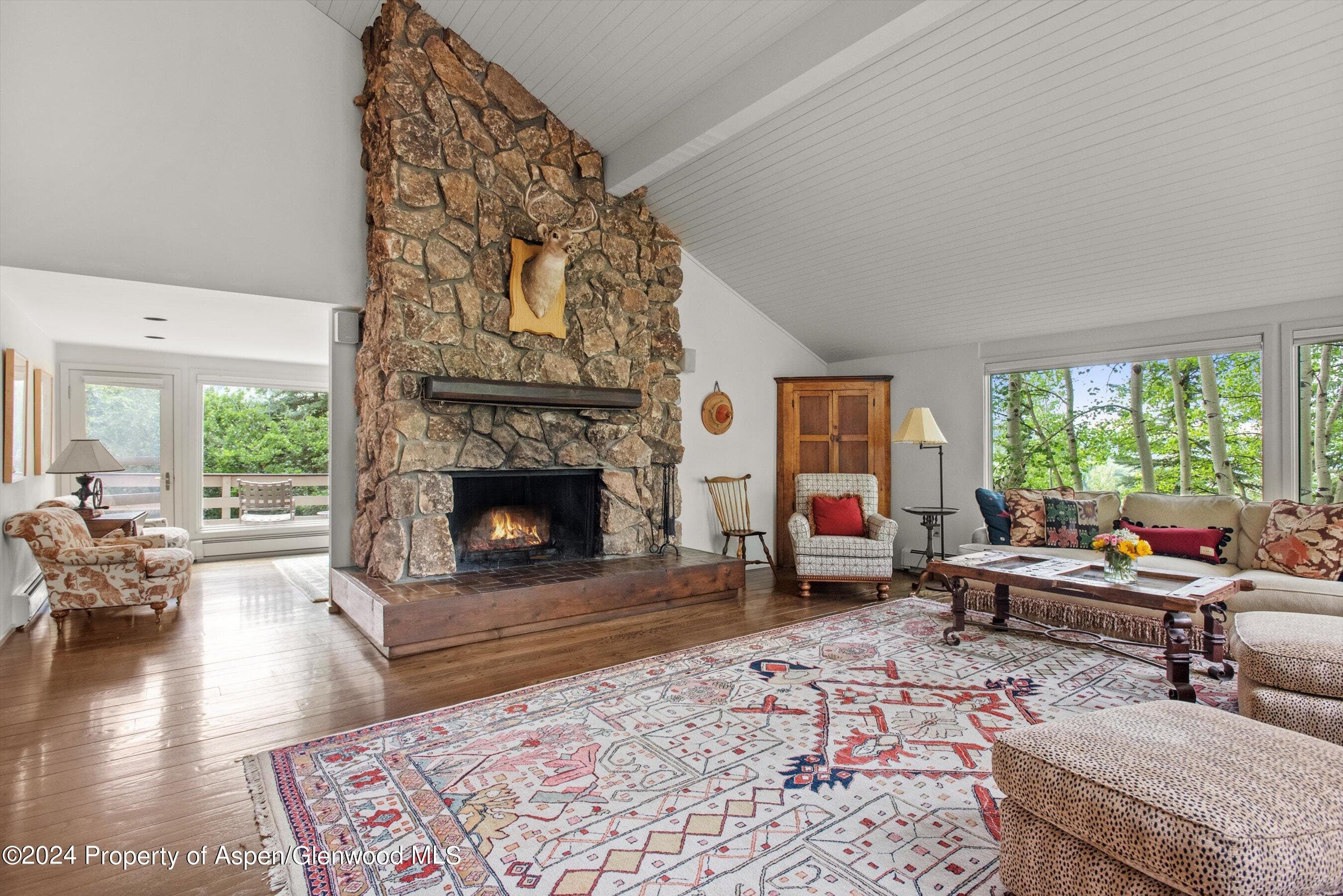 209 Larkspur Lane, Aspen, CO 81611 - Photo 8
