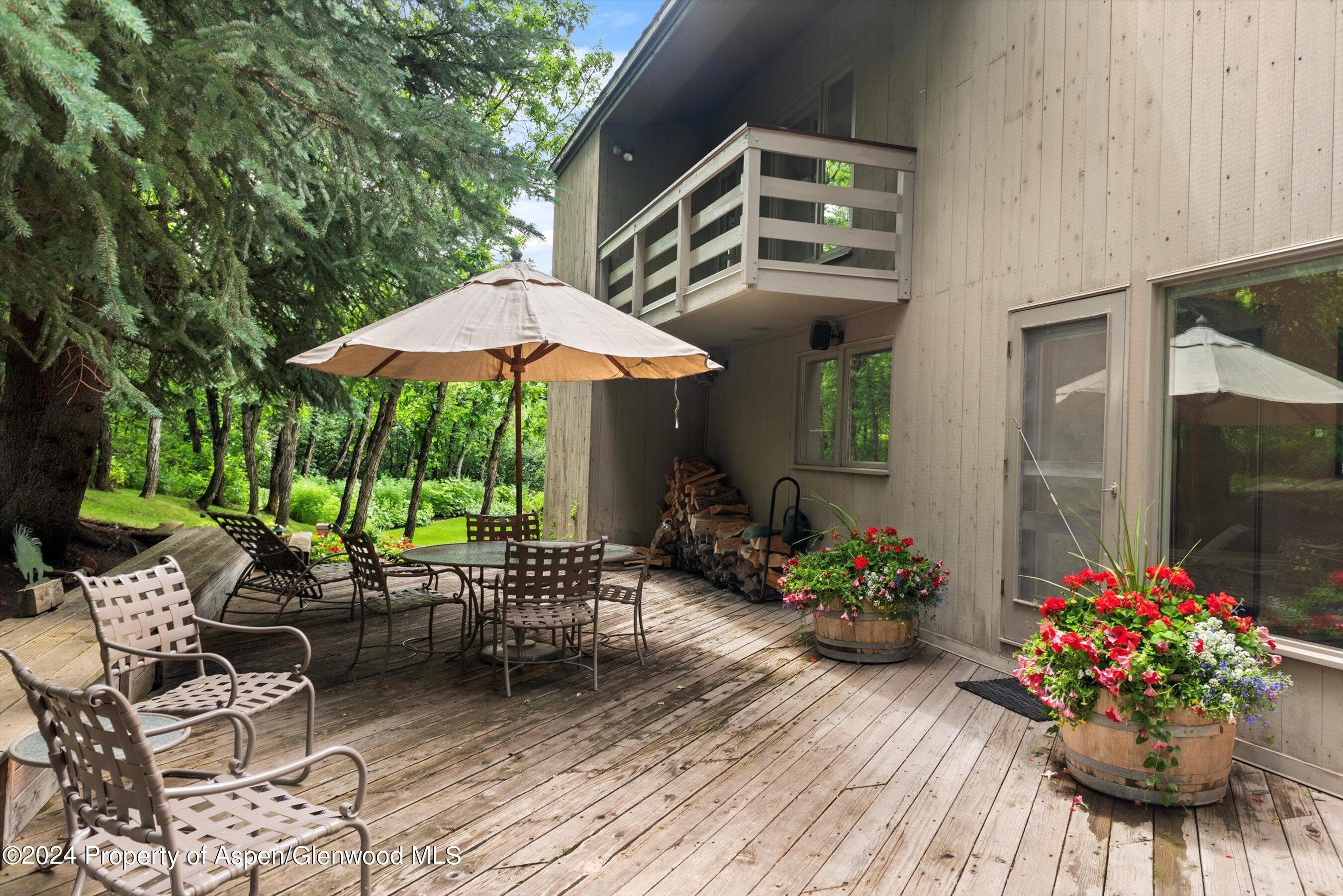 209 Larkspur Lane, Aspen, CO 81611 - Photo 37