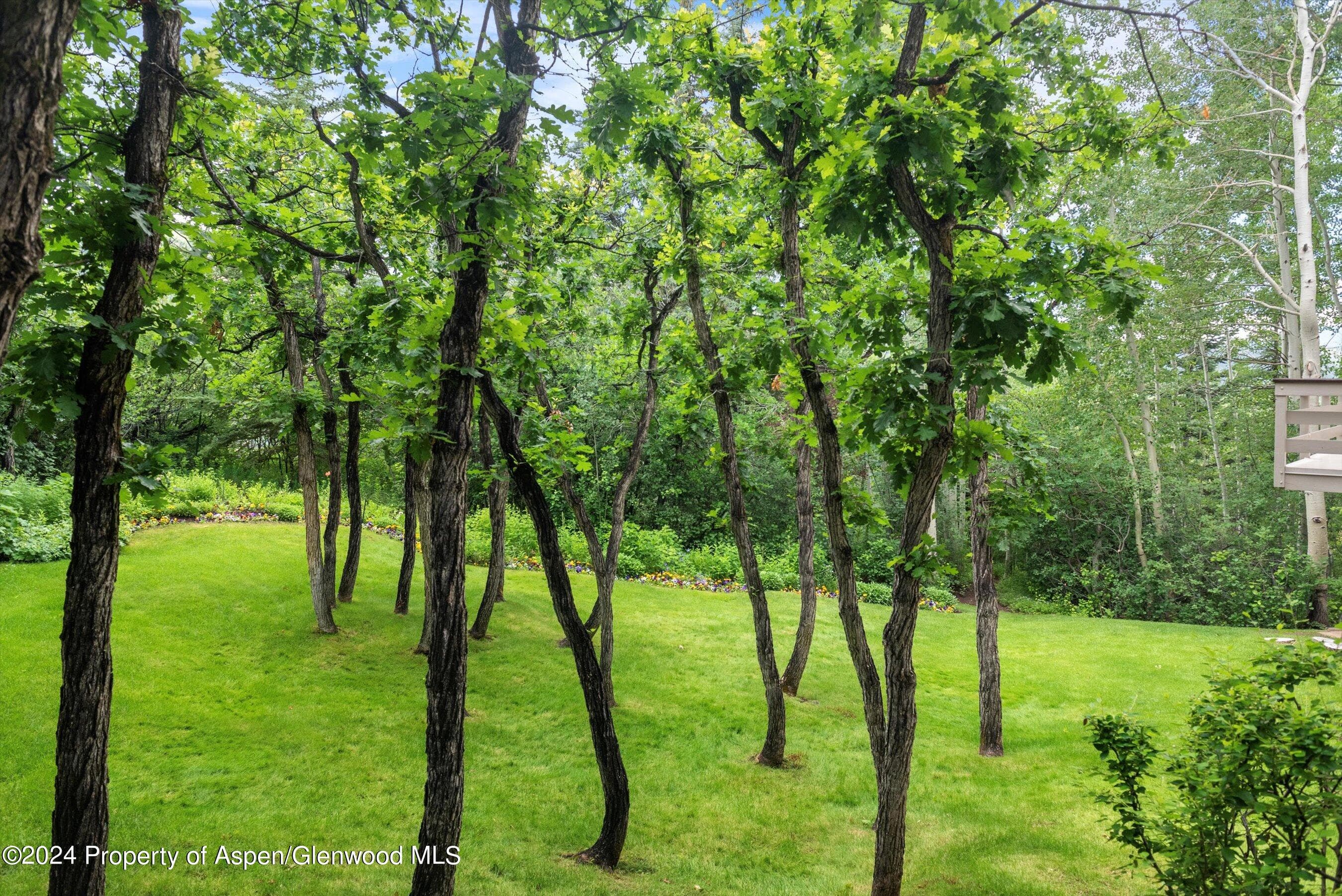 209 Larkspur Lane, Aspen, CO 81611 - Photo 39