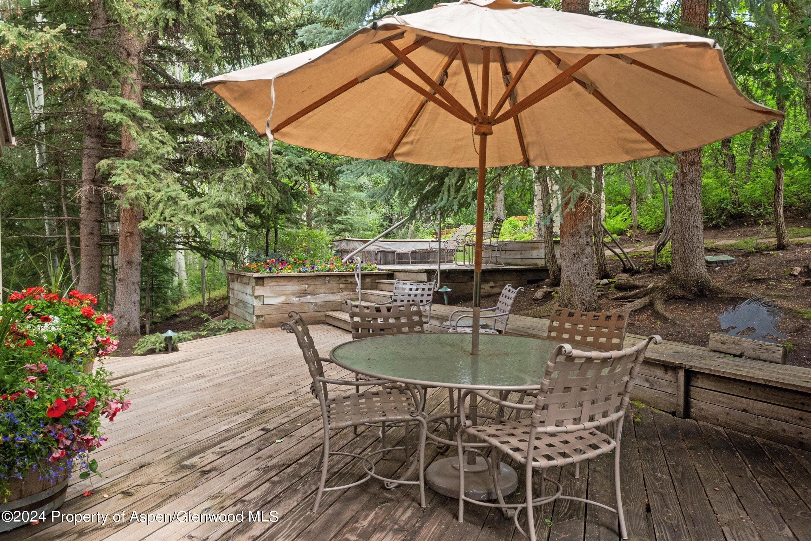 209 Larkspur Lane, Aspen, CO 81611 - Photo 42