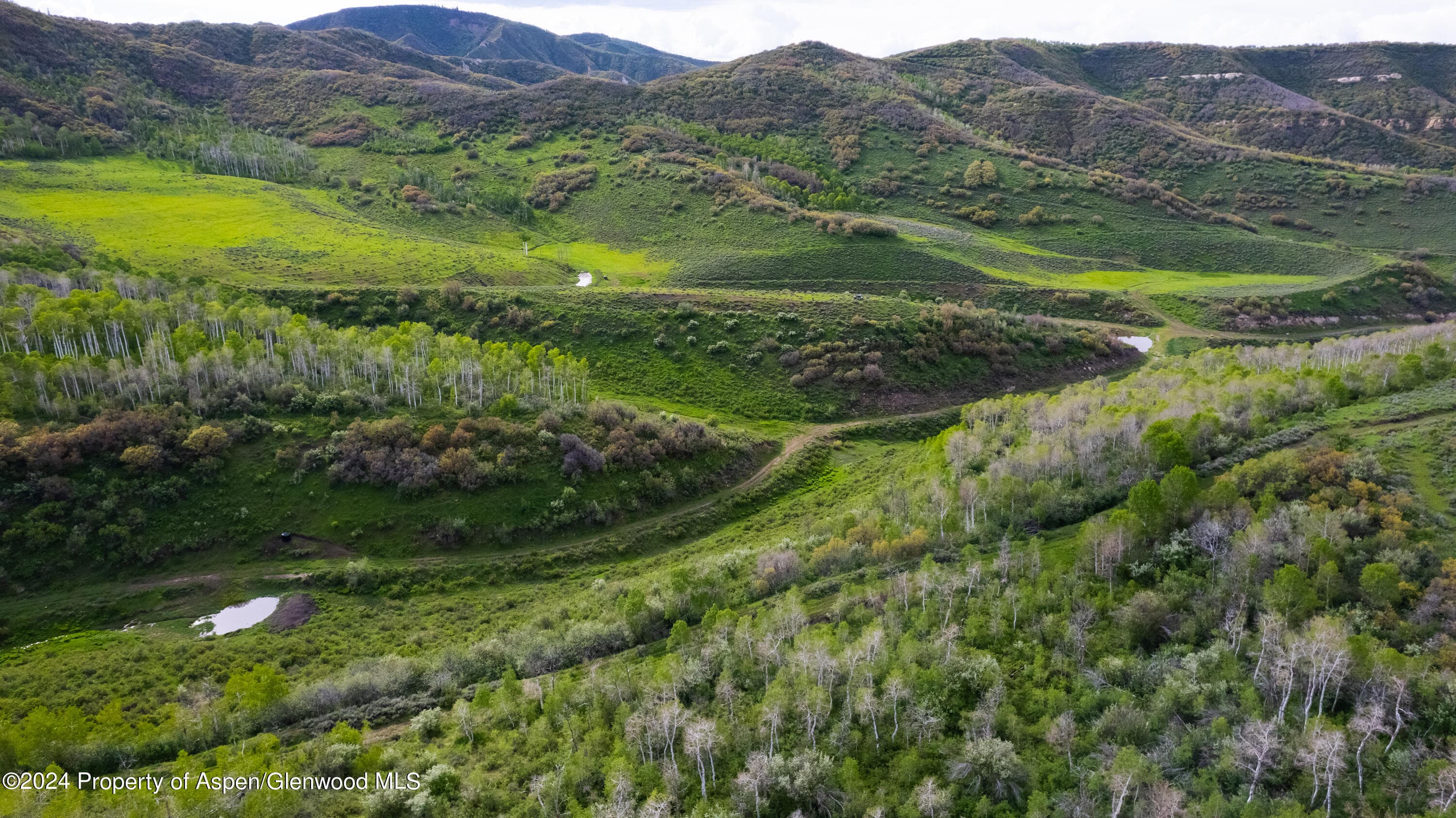 32771 COUNTY ROAD 27, Hayden, CO 81639 - Photo 6