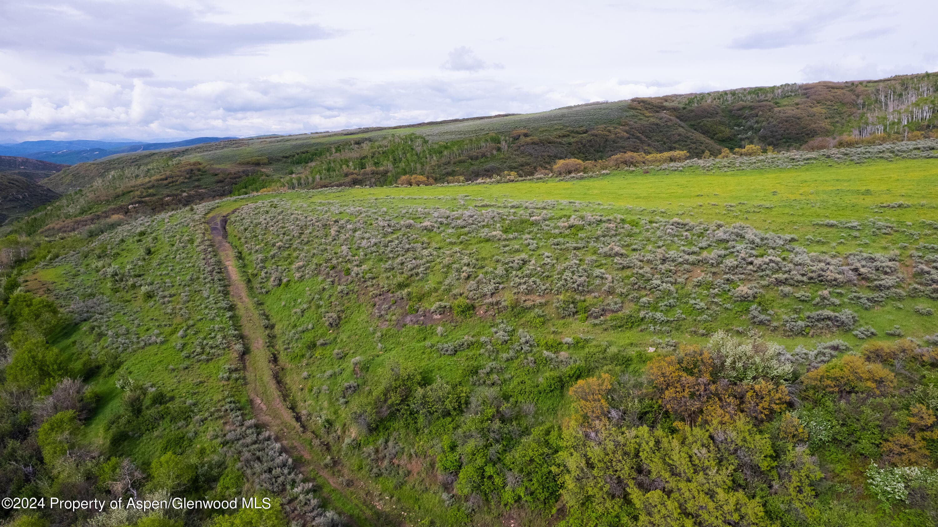 32771 COUNTY ROAD 27, Hayden, CO 81639 - Photo 28