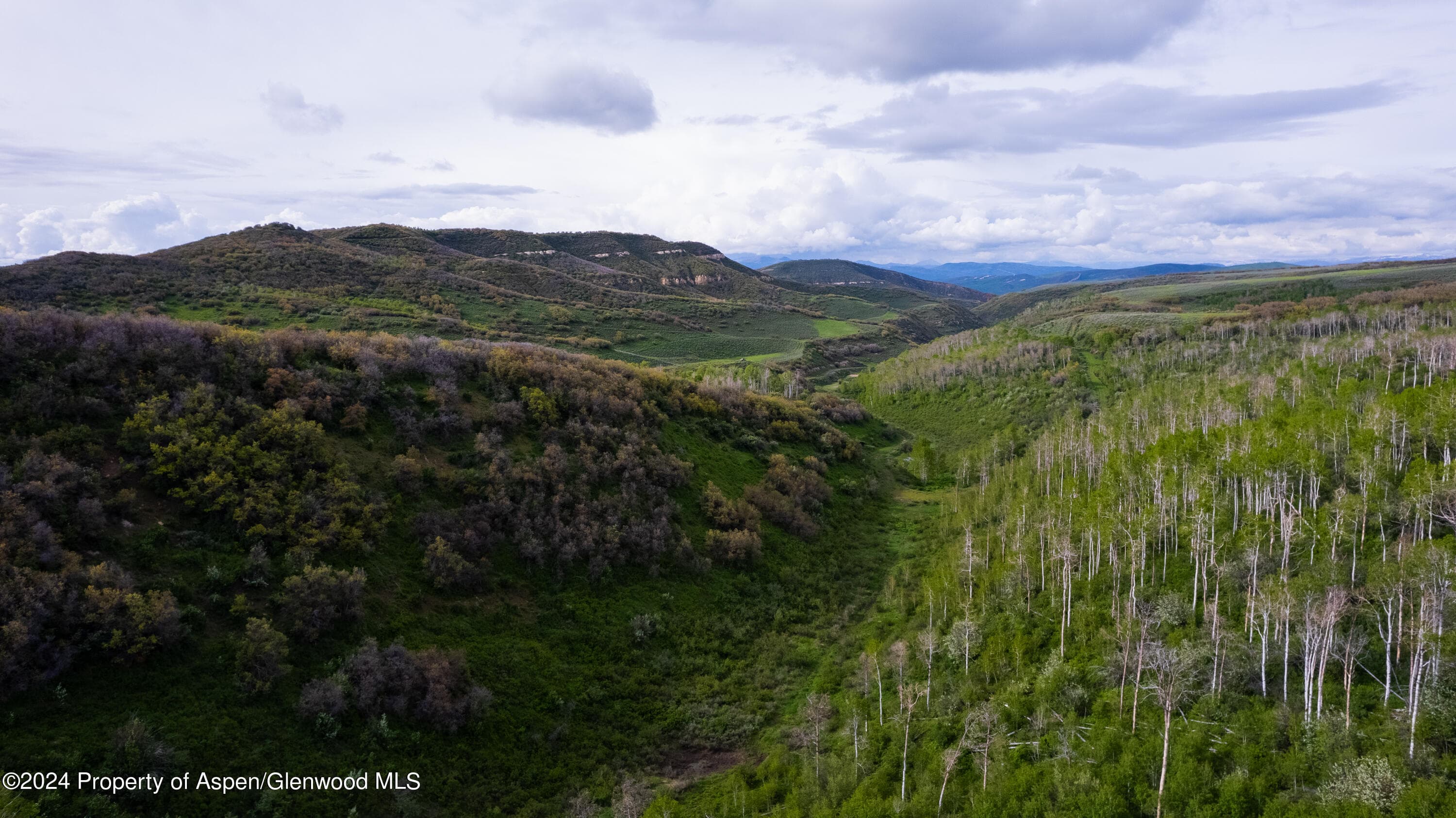 32771 COUNTY ROAD 27, Hayden, CO 81639 - Photo 29
