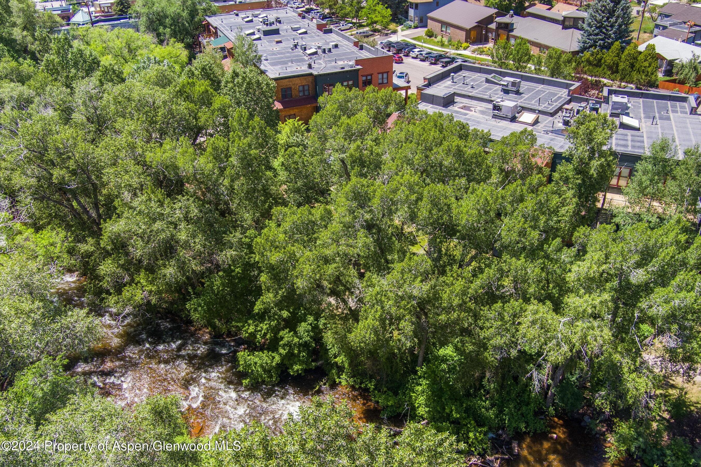 231 Midland Avenue 101, Basalt, CO 81621 - Photo 24