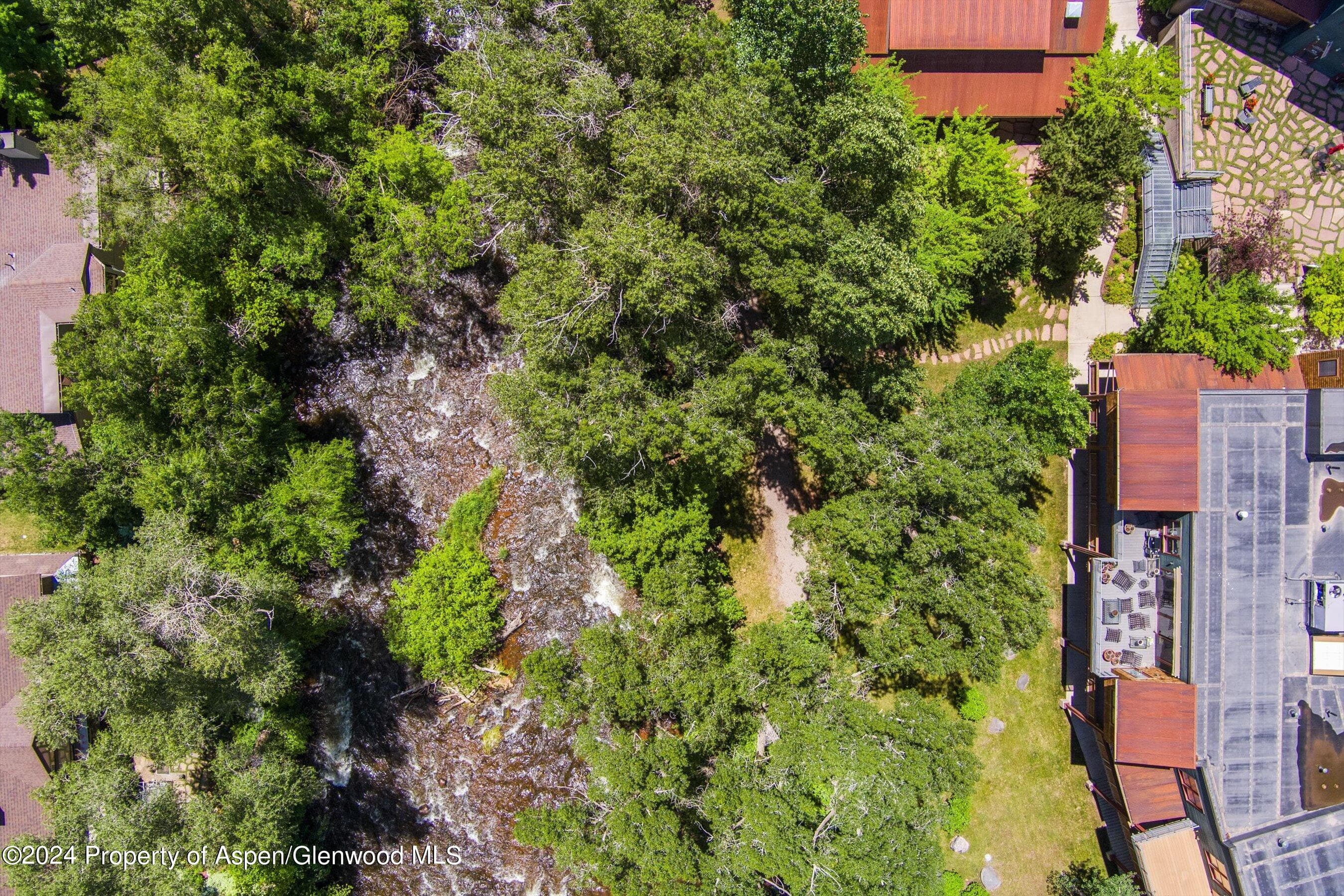 231 Midland Avenue 101, Basalt, CO 81621 - Photo 3