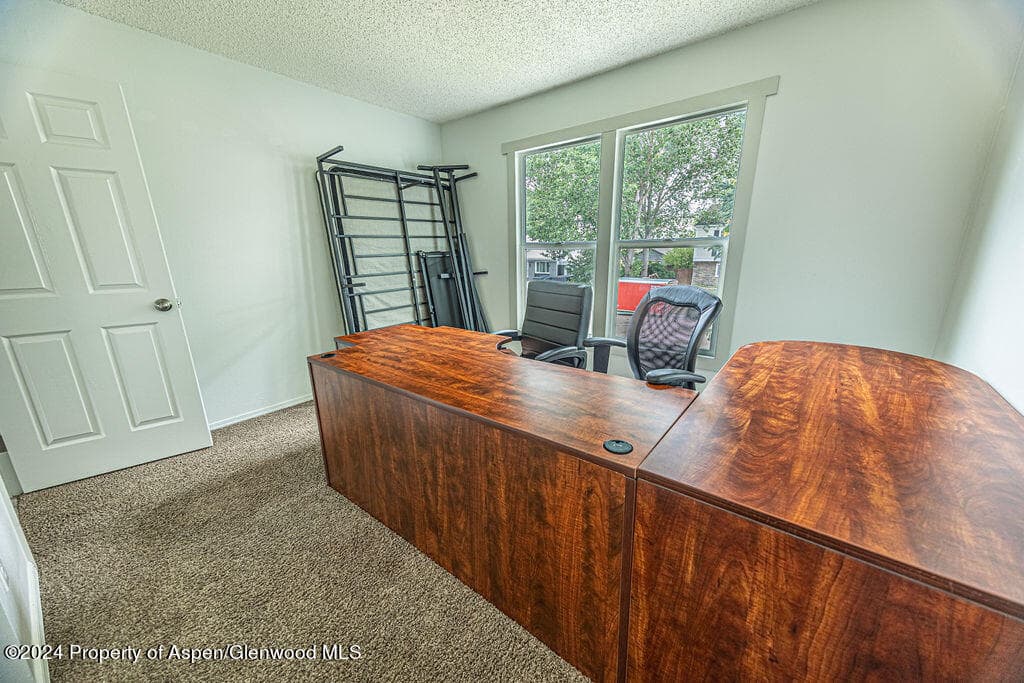 821 Exmoor Road, Craig, CO 81625 - Photo 23
