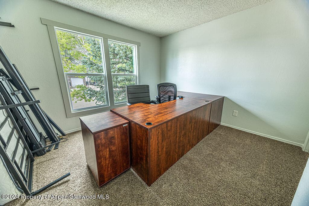 821 Exmoor Road, Craig, CO 81625 - Photo 24