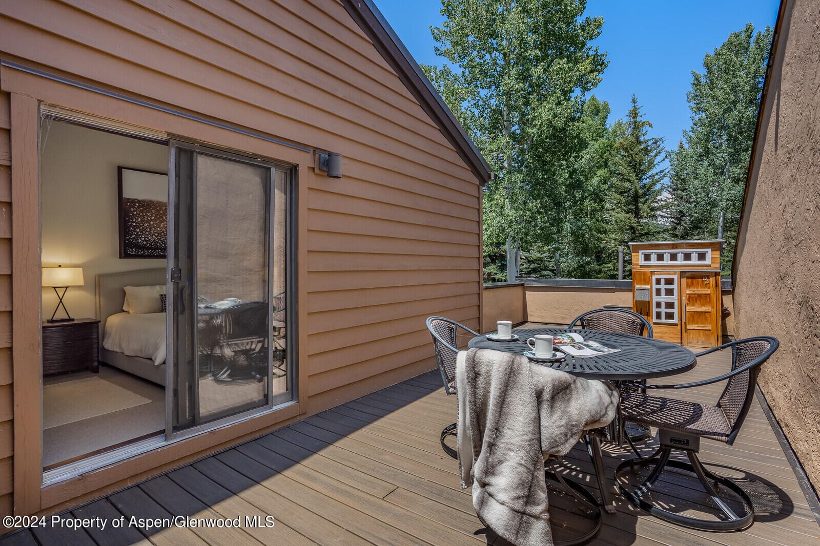 52 Harleston Green 39, Snowmass Village, CO 81615 - Photo 22