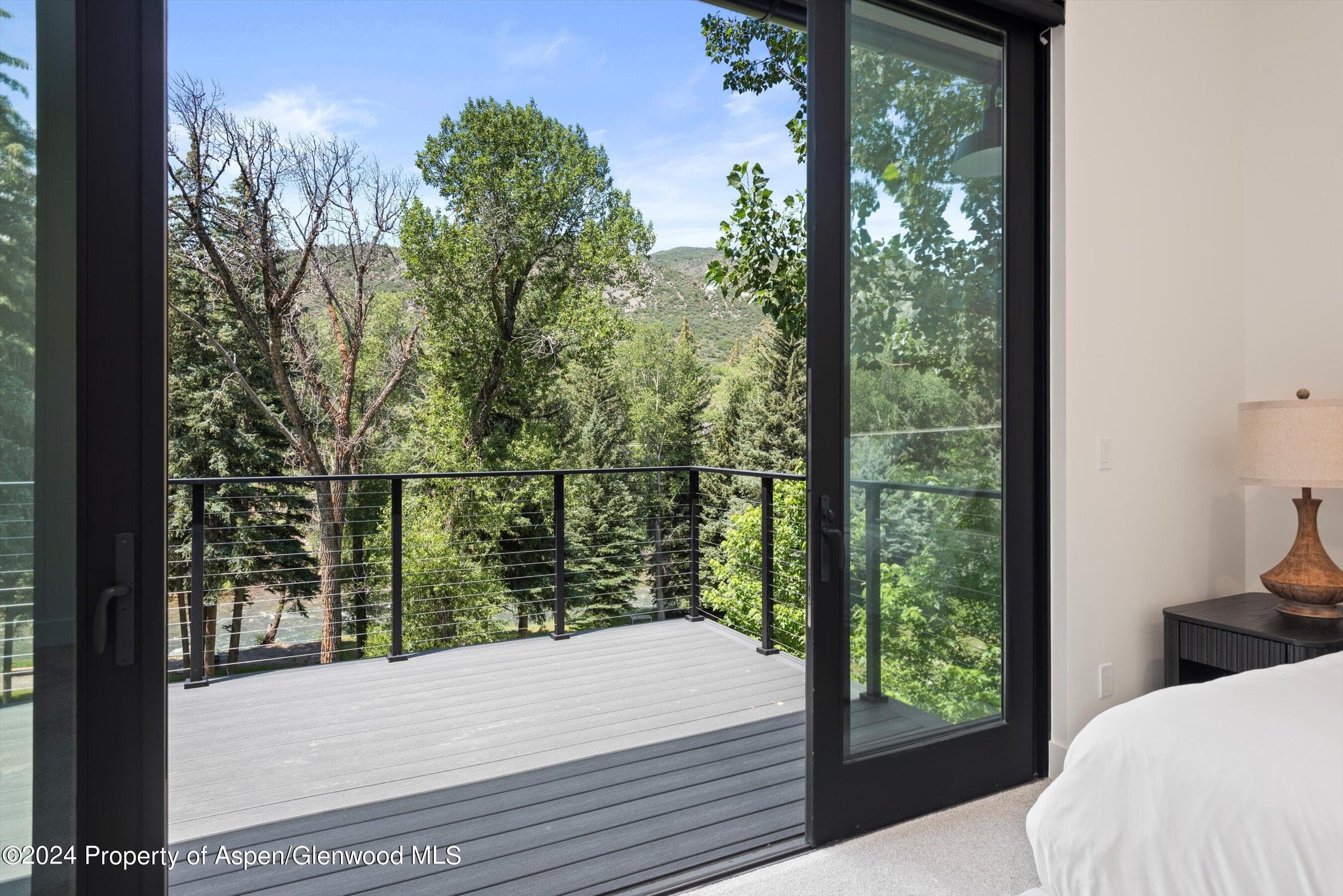 117 S Little Texas Lane, Woody Creek, CO 81656 - Photo 11