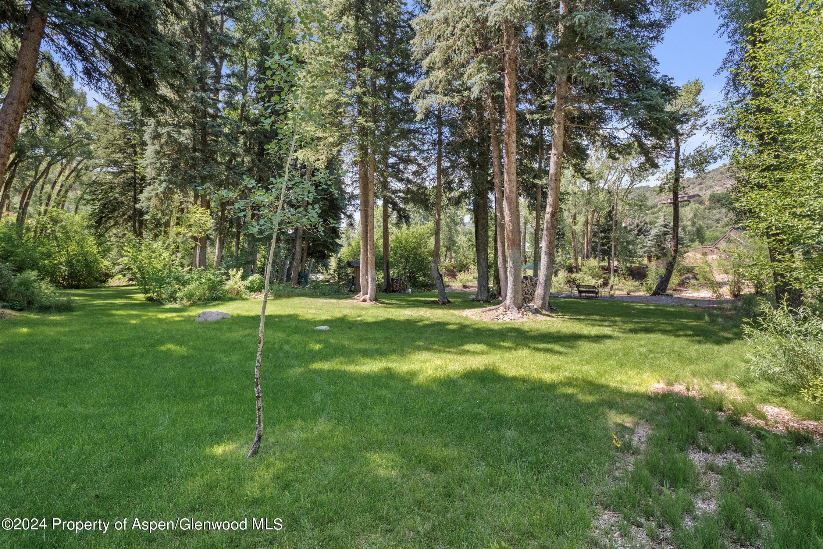 117 S Little Texas Lane, Woody Creek, CO 81656 - Photo 31