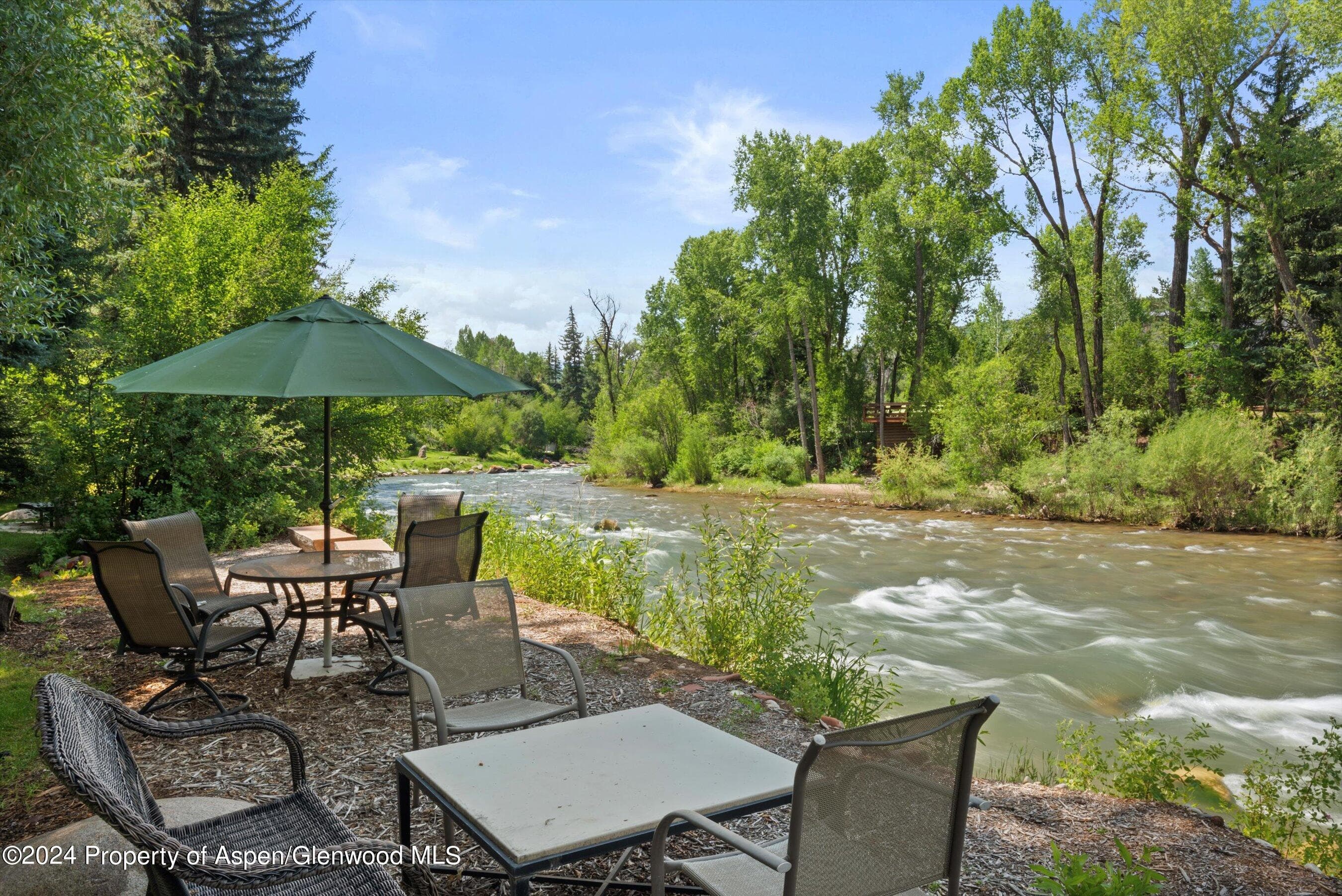 117 S Little Texas Lane, Woody Creek, CO 81656 - Photo 34