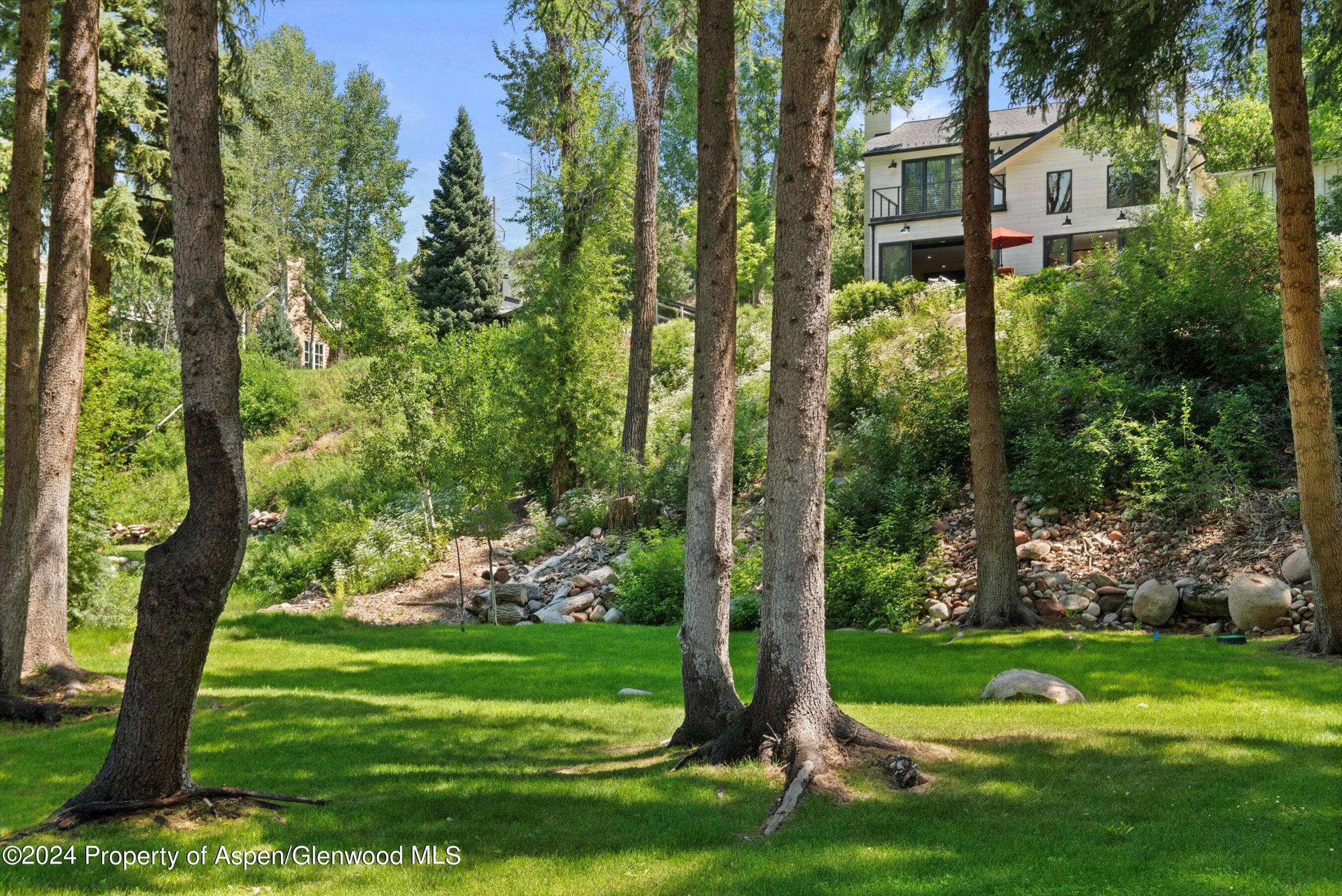 117 S Little Texas Lane, Woody Creek, CO 81656 - Photo 38